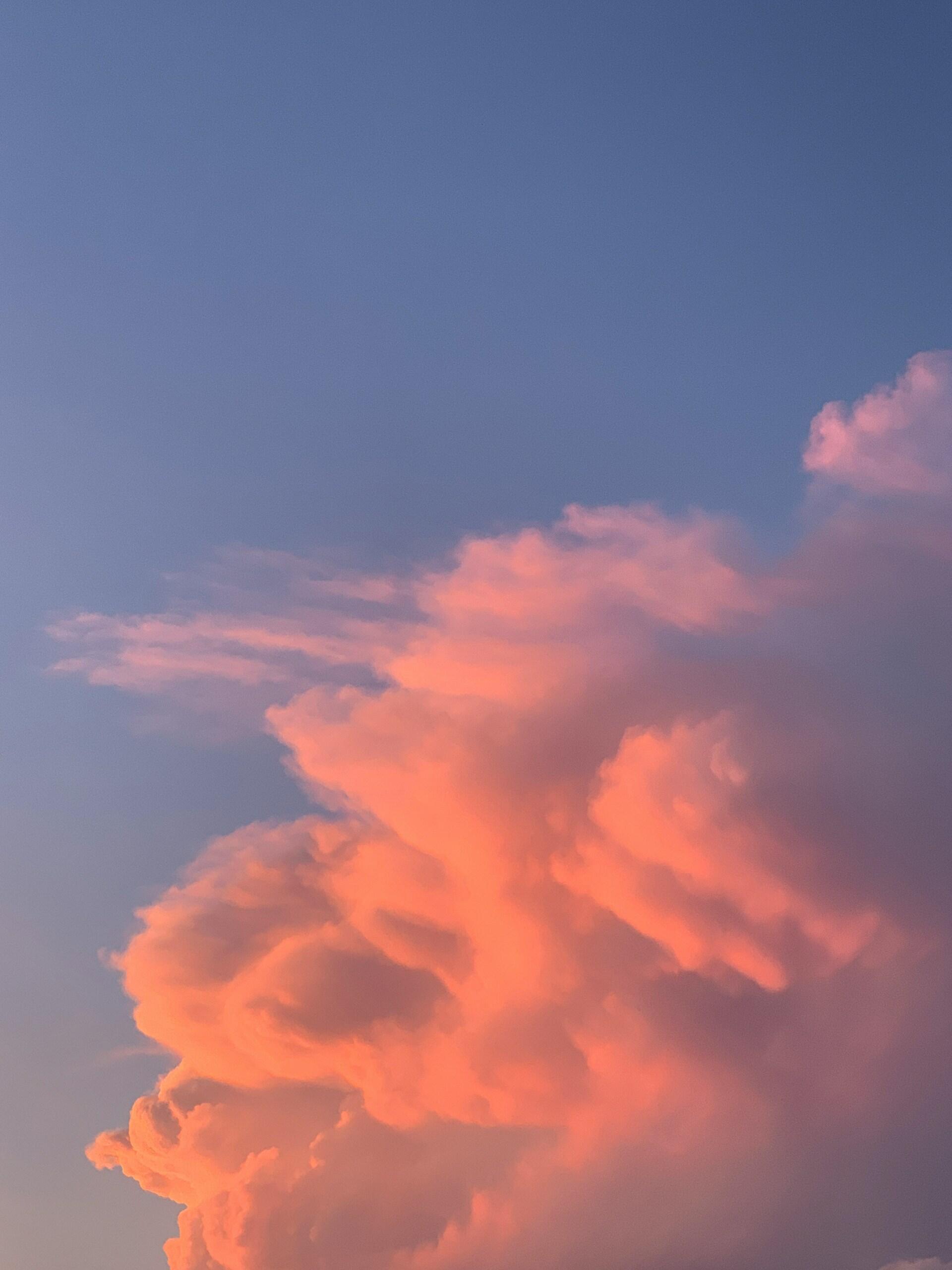 studiare i frattali per capire fenomeni naturali