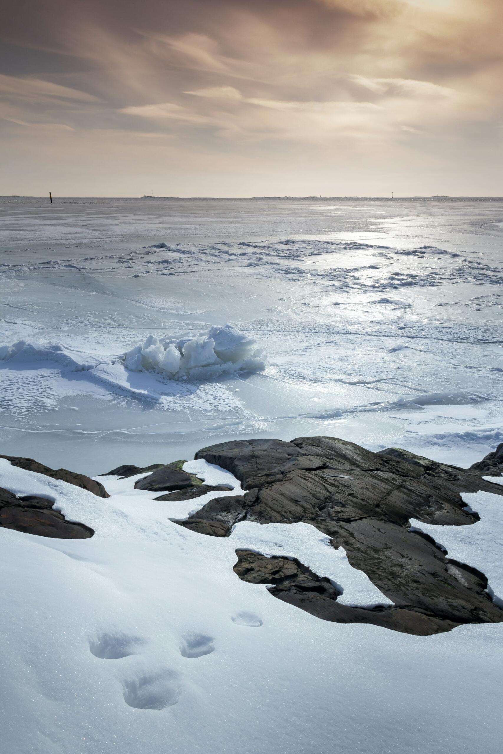 Le caratteristiche del clima polare.