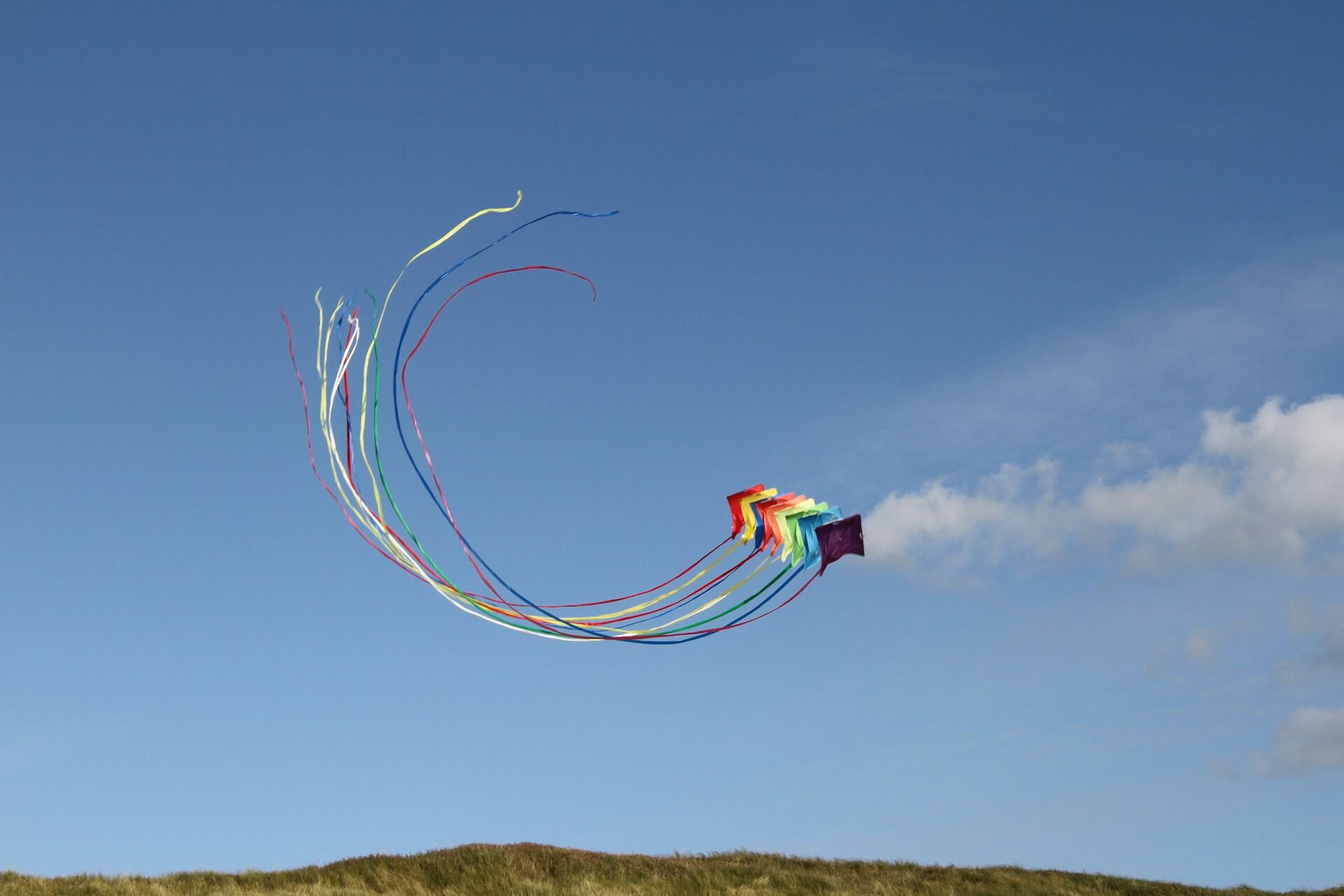 aquiloni che volano nel cielo