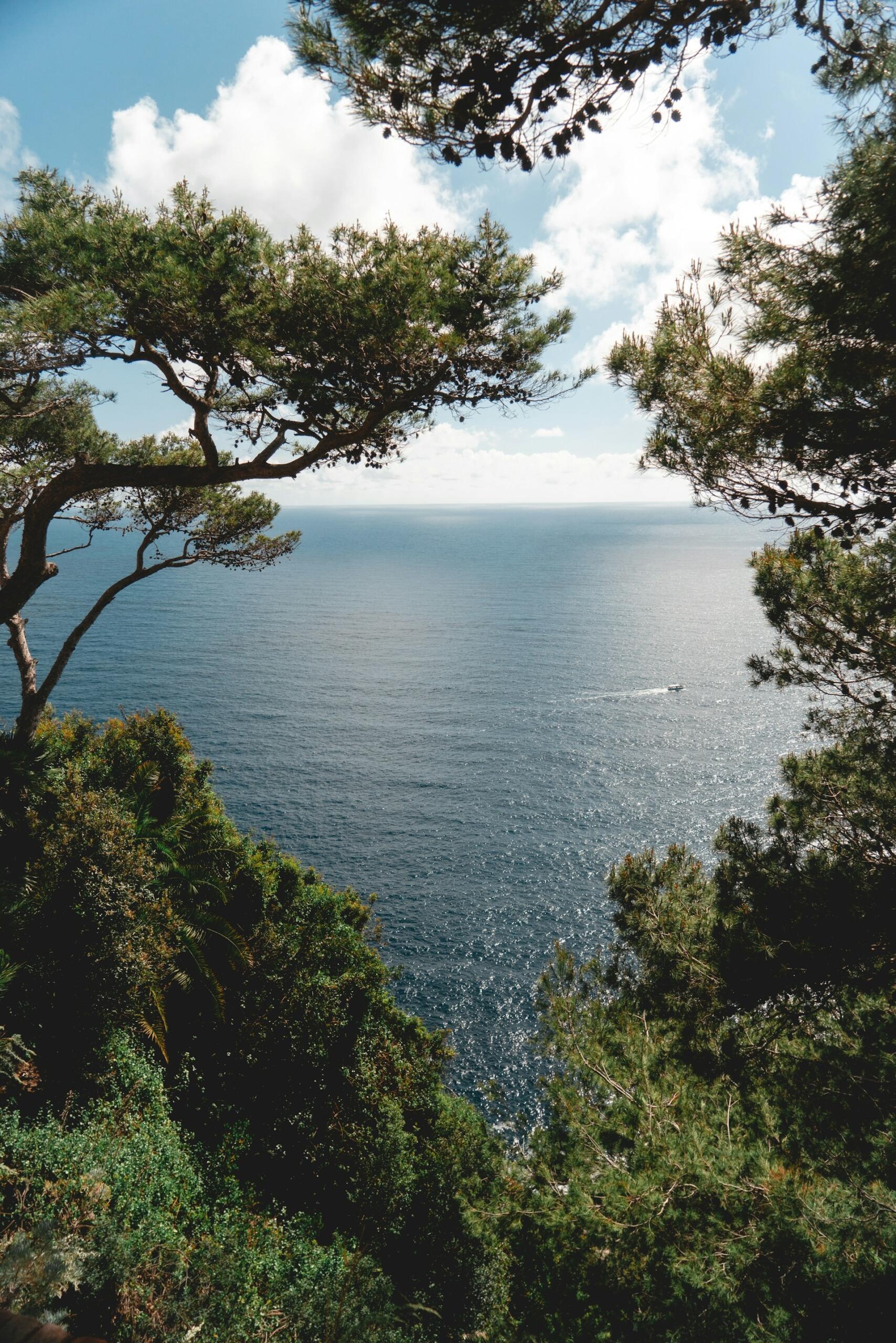 Le caratteristiche del clima continentale.