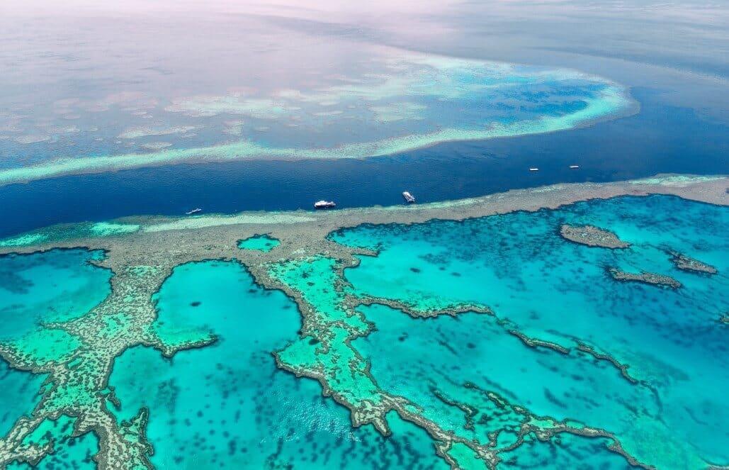 Alla scoperta della barriera corallina in Australia.