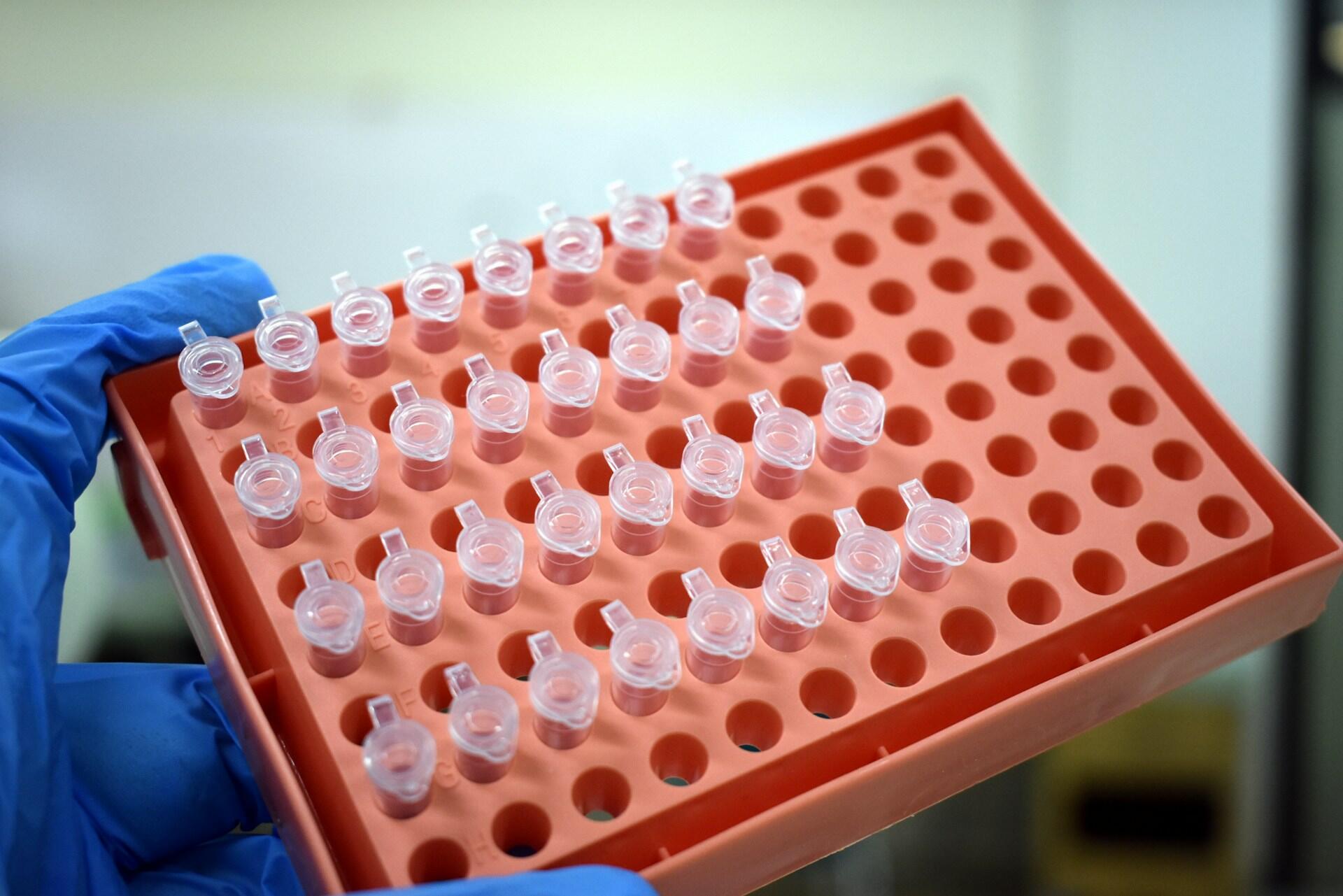 studi biologia università