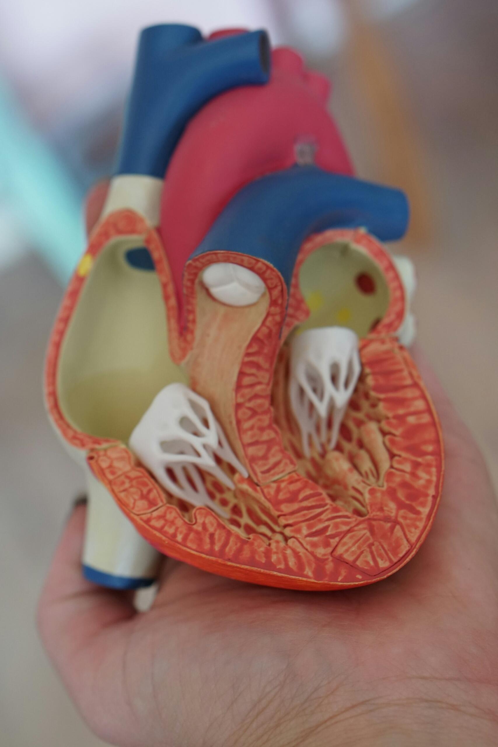 dove studiare biologia a napoli