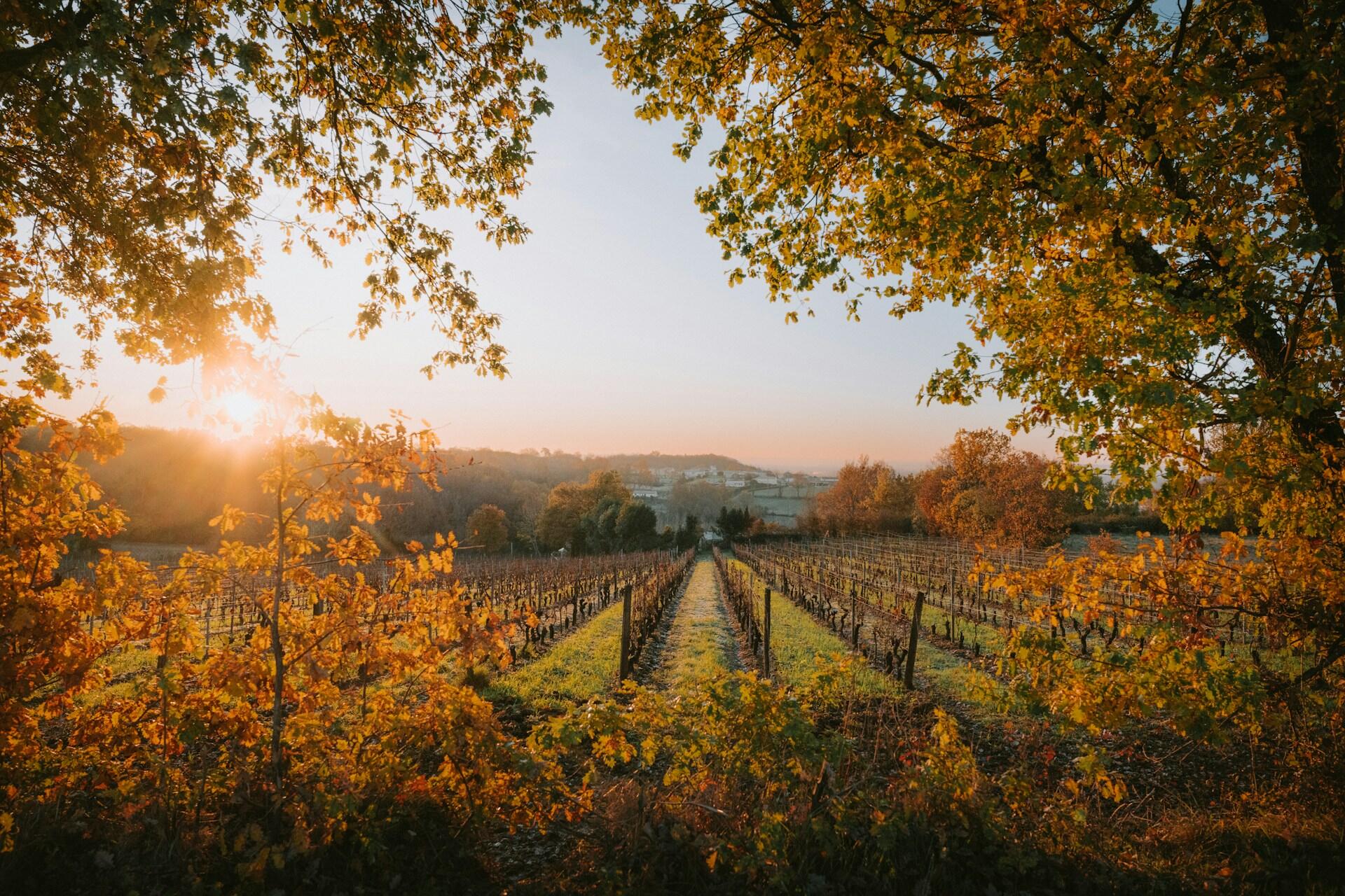 Vista di Bordeaux, una delle tappe tour de france 2026.