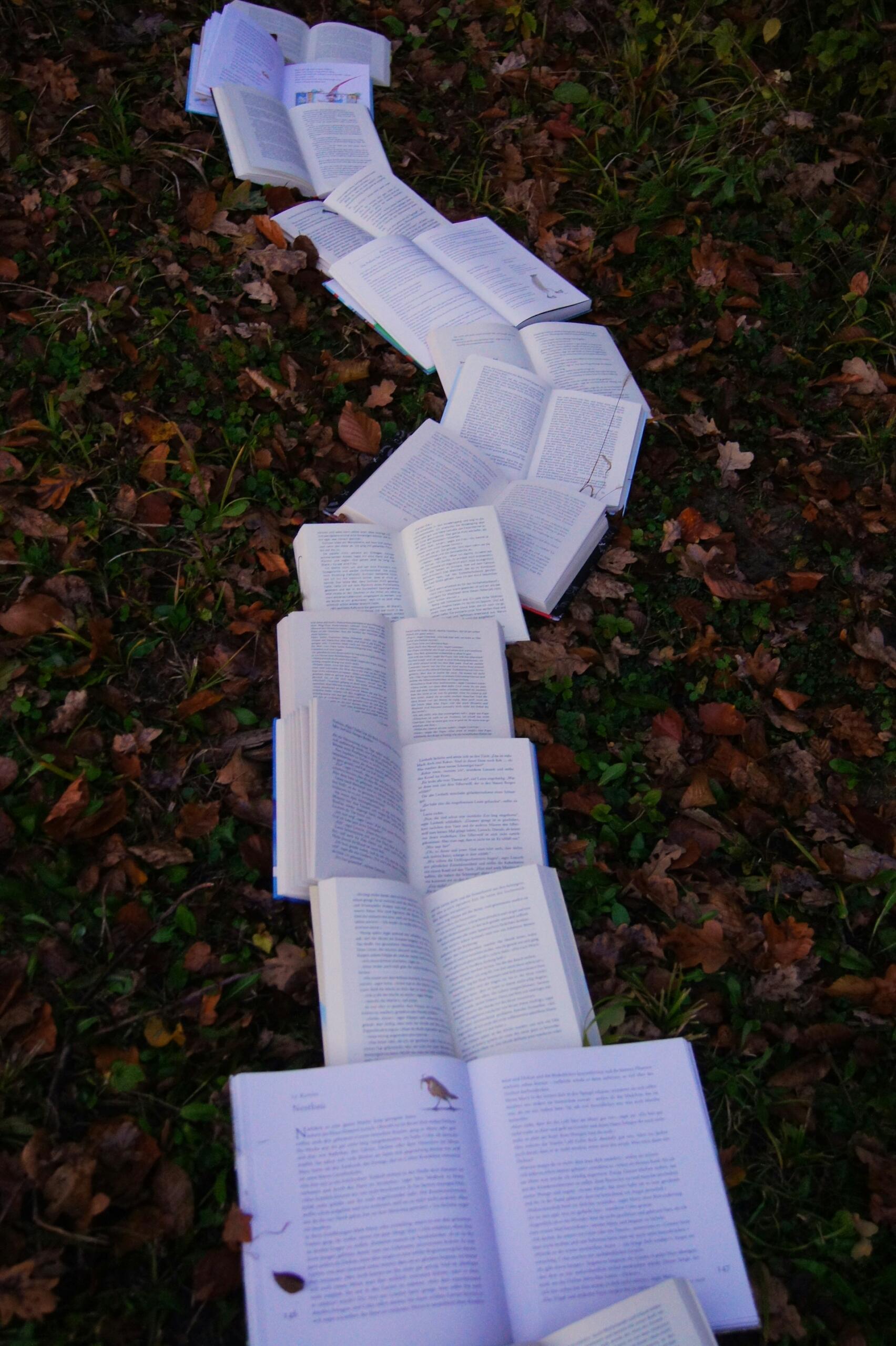 Un sentiero fatti di libri aperti.