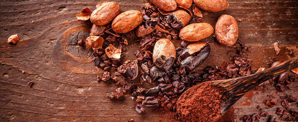 Fave di cacao: l'evoluzione del cioccolato nella storia.