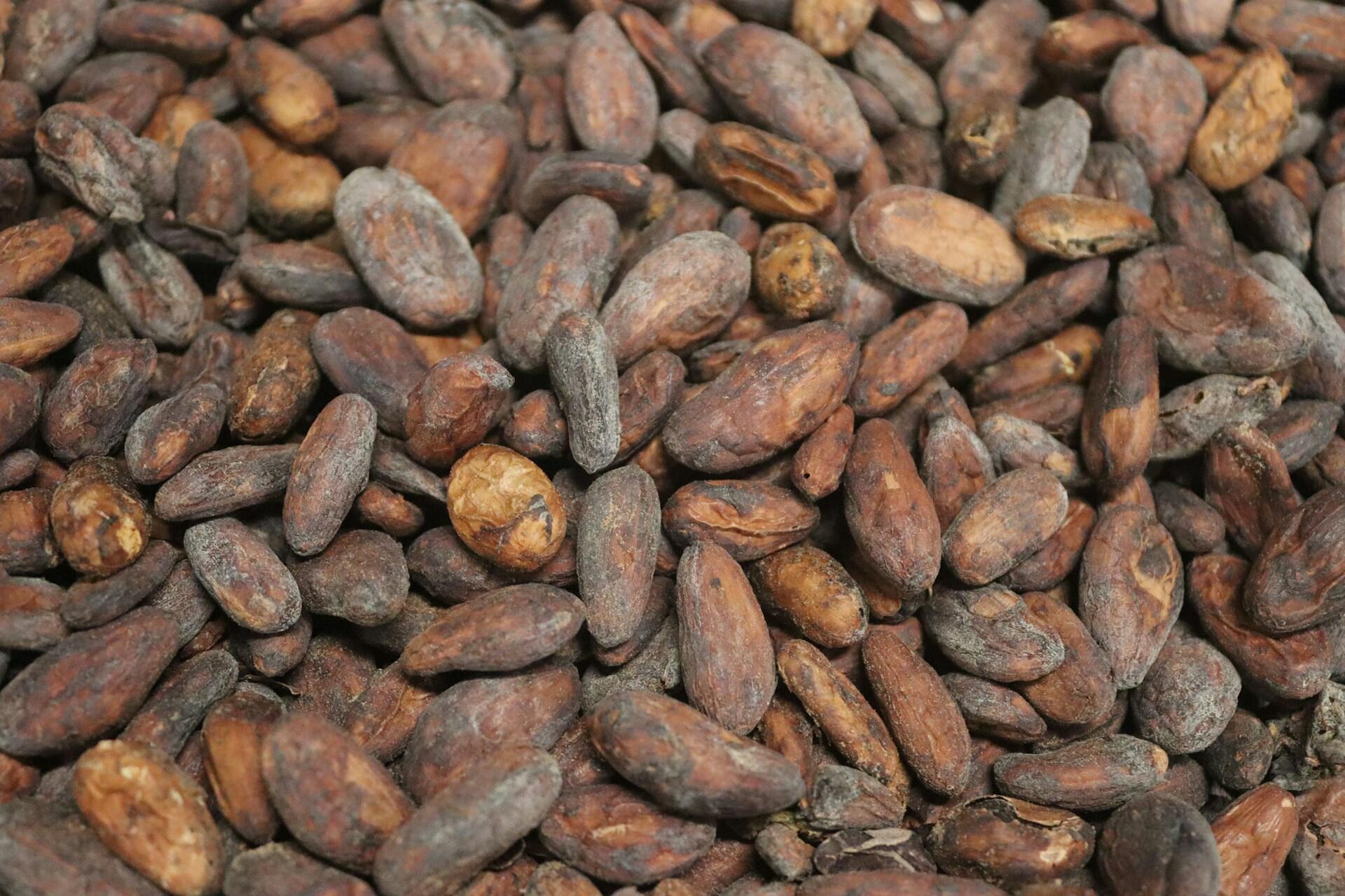 Fave di cacao per la preparazione del cioccolato fatto in casa.