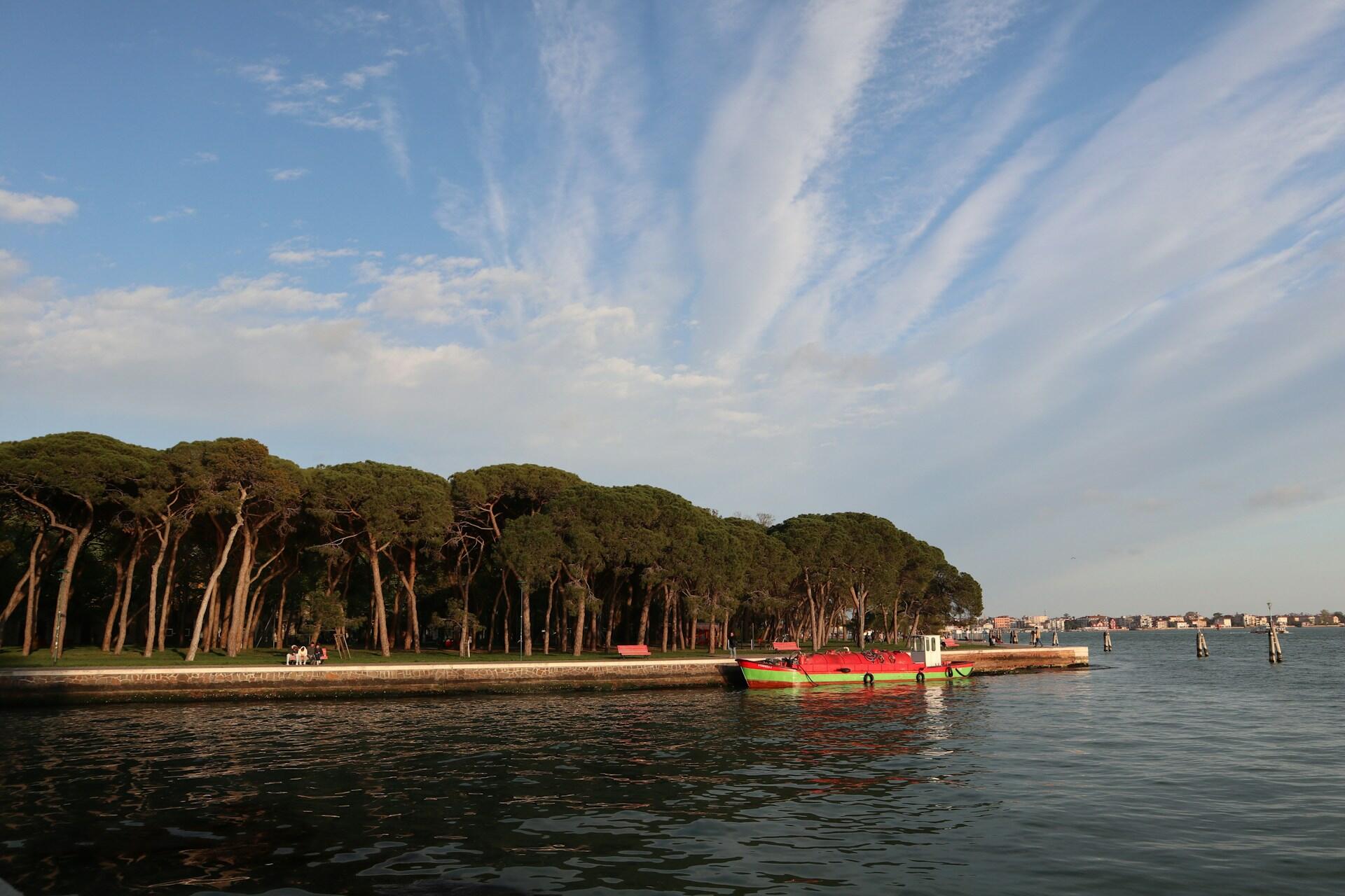 Una foto scattata ai Giardini dell'Arsenale a Venezia, dove ogni due anni si tiene la Biennale d'Arte. 