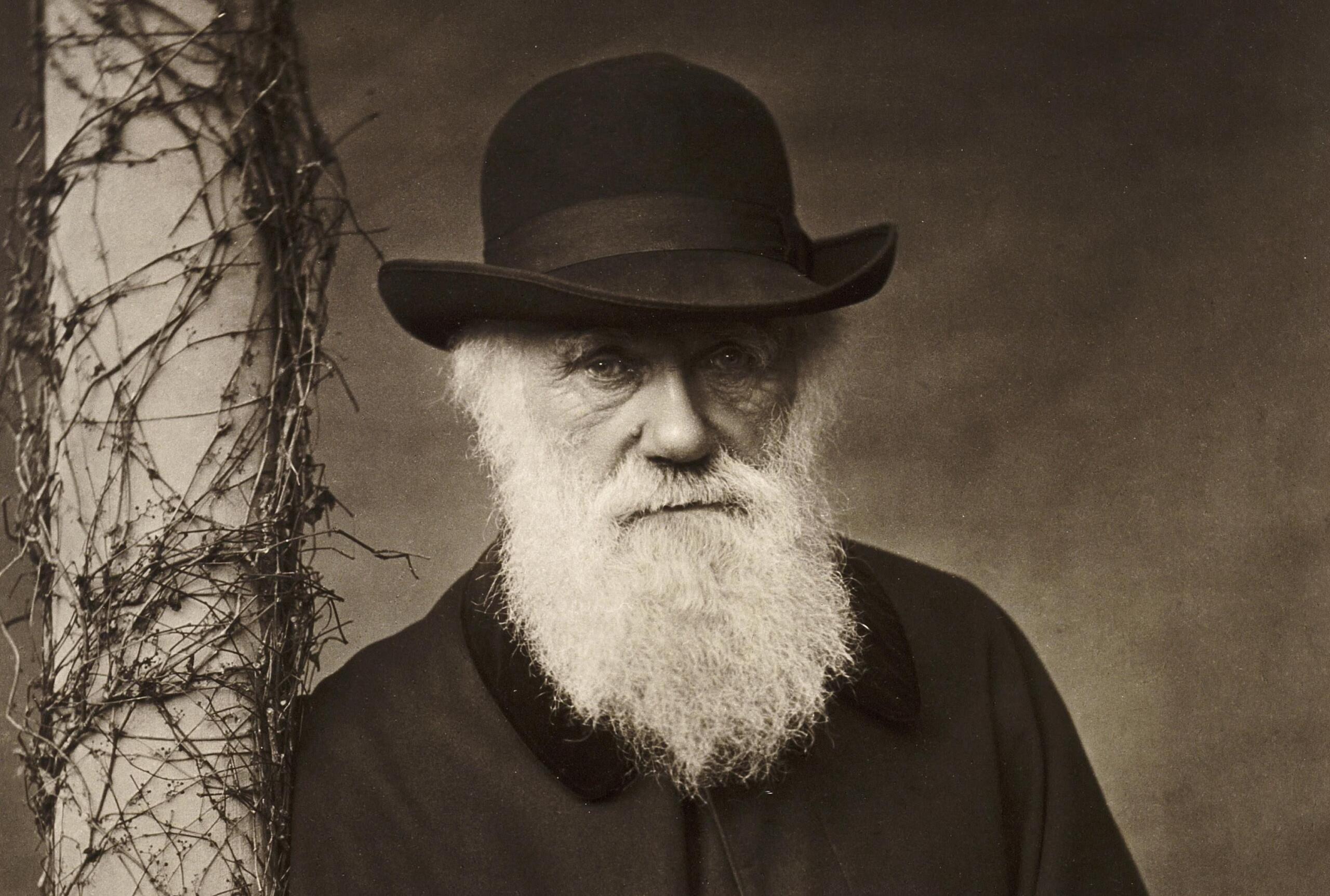 Ritratto di Charles Darwin, biologo noto per la teoria dell’evoluzione per selezione naturale.