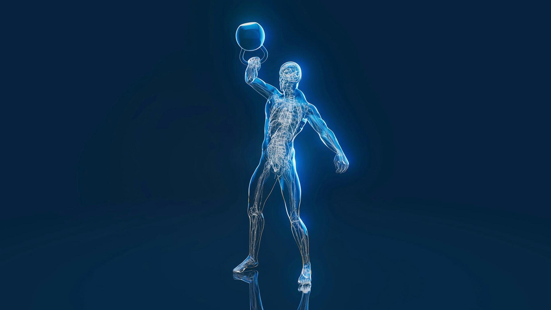 Una uomo soleva ua kettlebell. Vediamo il suo sistema nervos mentre compie il gesto poiché il corpo è trasparente. 