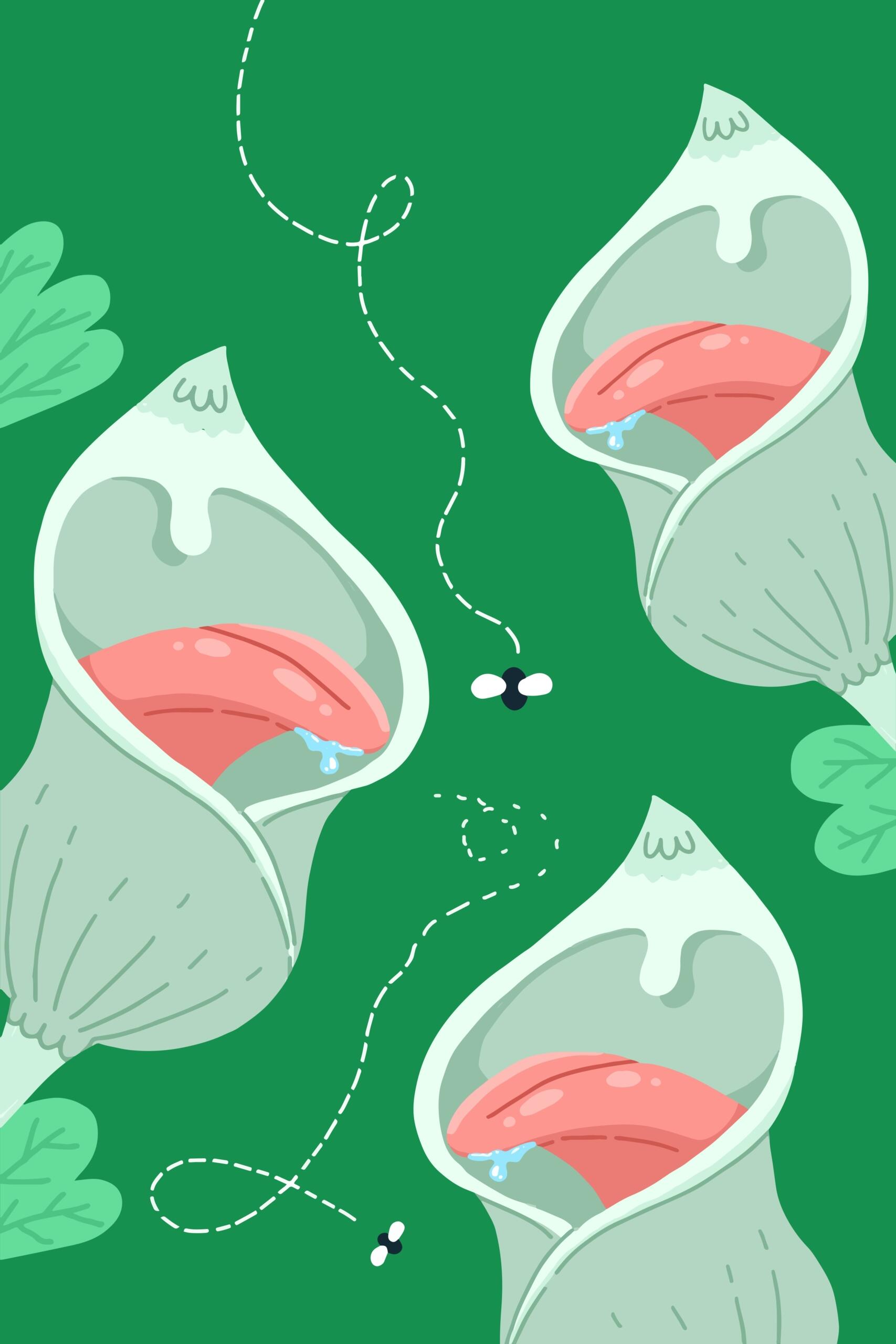 Illustrazione di una mosca che vola tra piante carnivore.