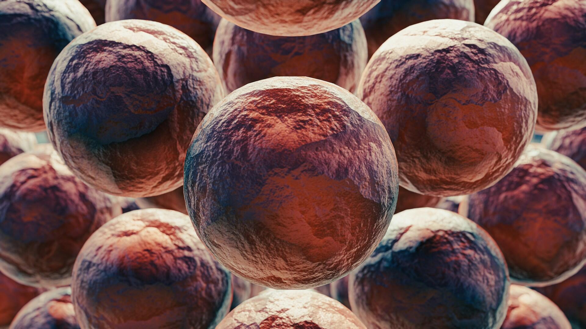 Elemento delle cellule vegetali e animali.