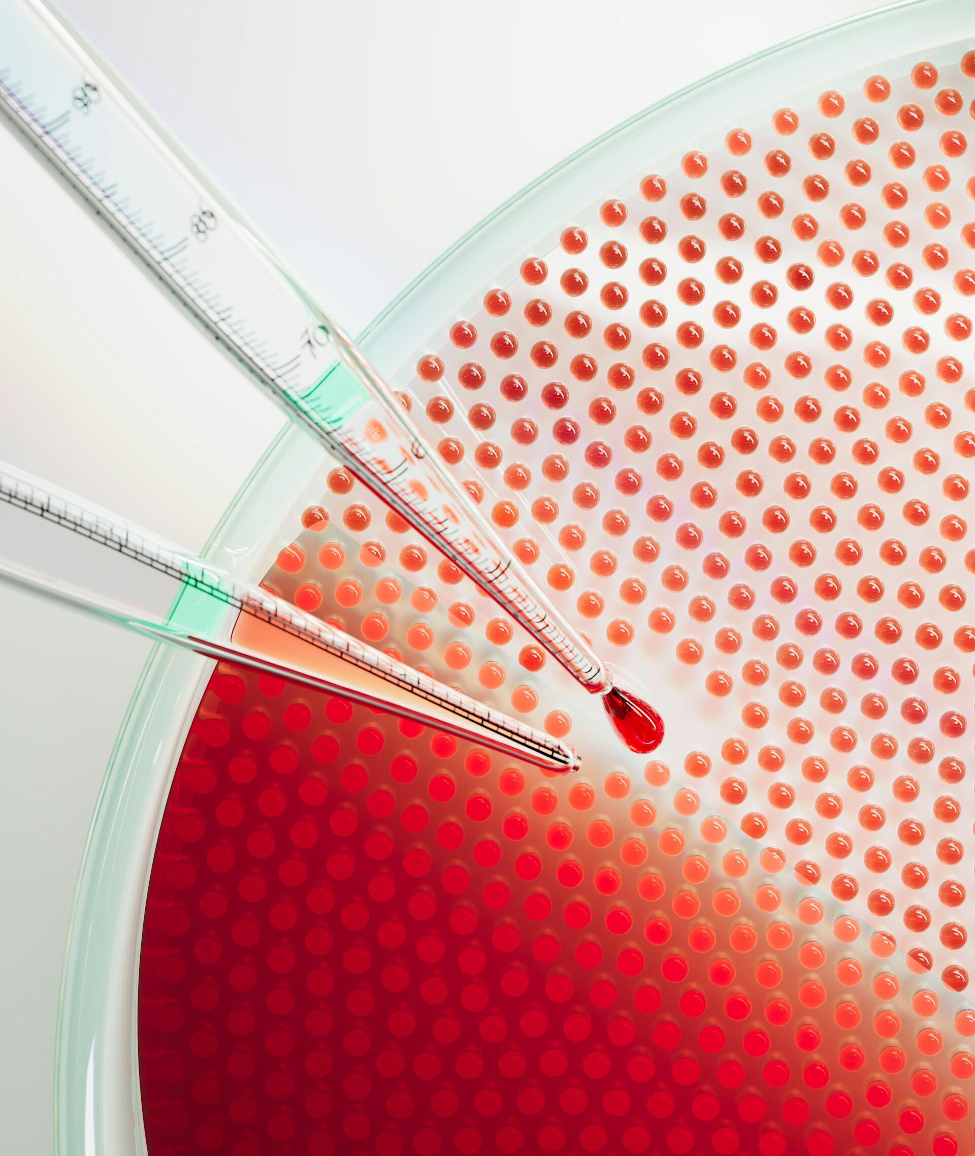 Un materiale viene osservato e analizzato in vitro. 