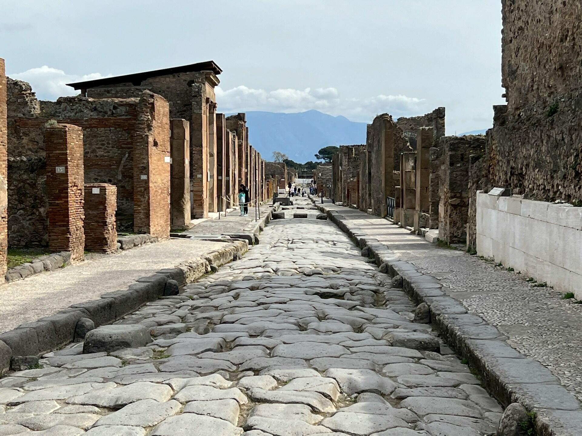 Dettaglio del sito di Pompei e il Vesuvio sullo sfondo.