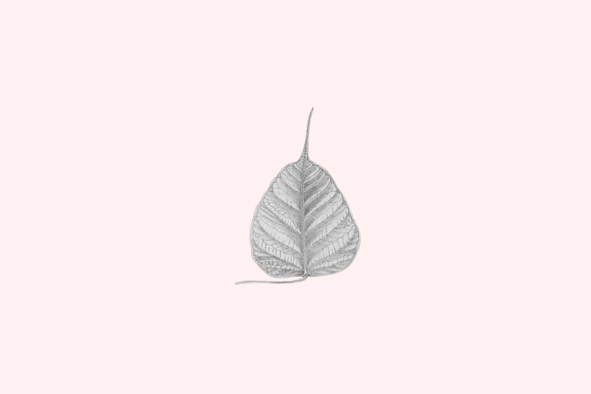 Logo di Dharma Seed, app mindfulness gratis.