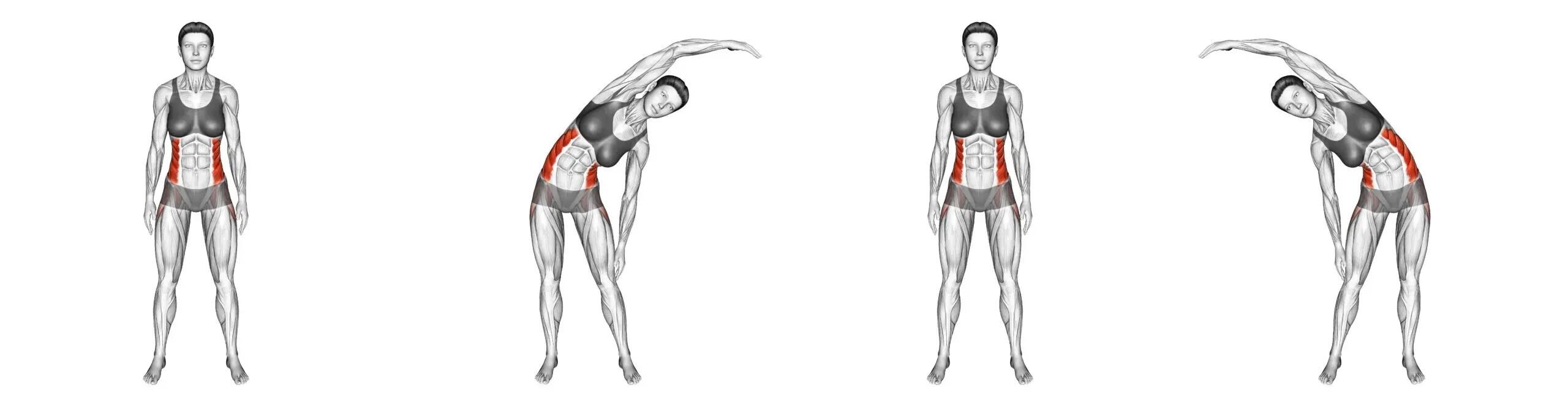 Come eseguire correttamente lo stretching laterale.