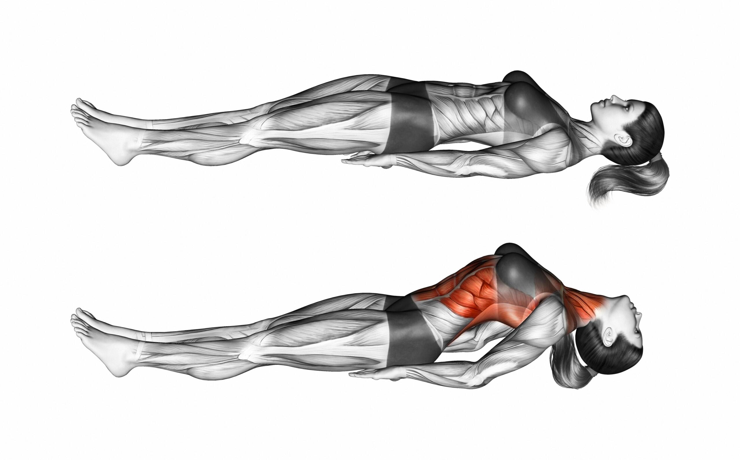 Grafica stretching addominali
