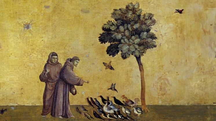 San Francesco d'Assisi: vita, opere ed eredità a 800 anni dalla morte
