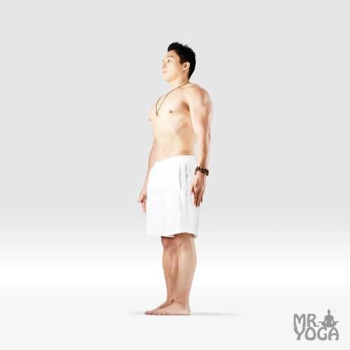 山のポーズ