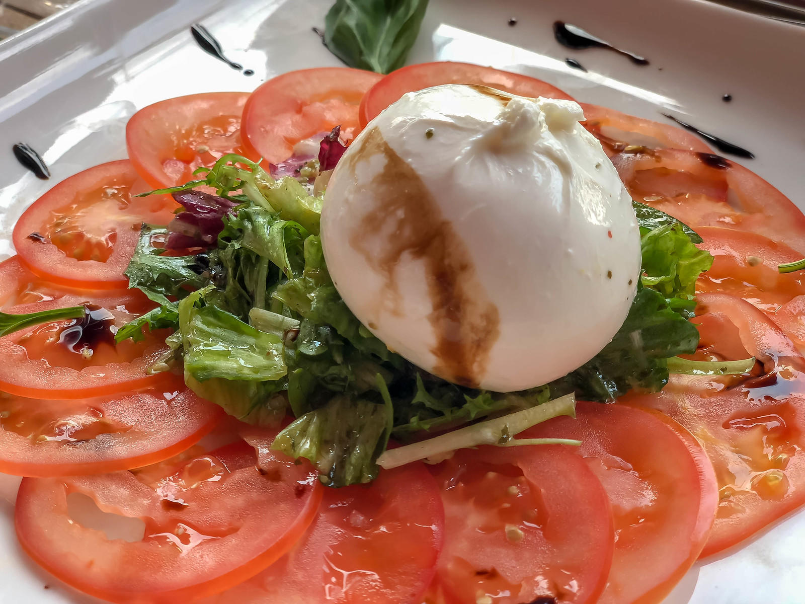 ブラータ イタリアのチーズを使った前菜