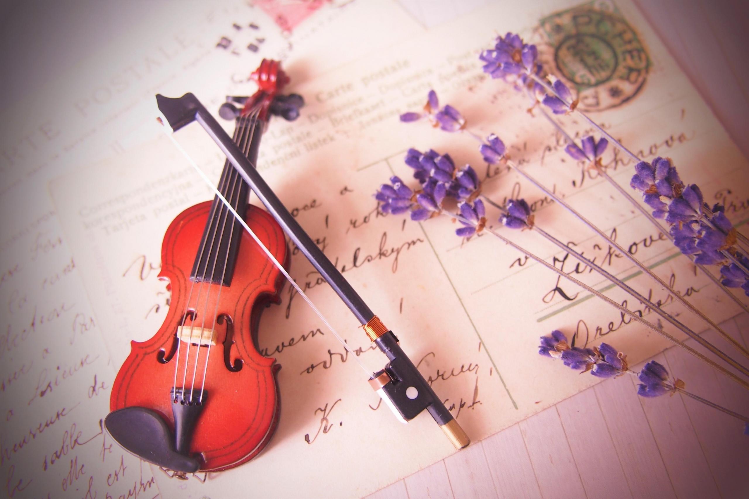 violin and flowers