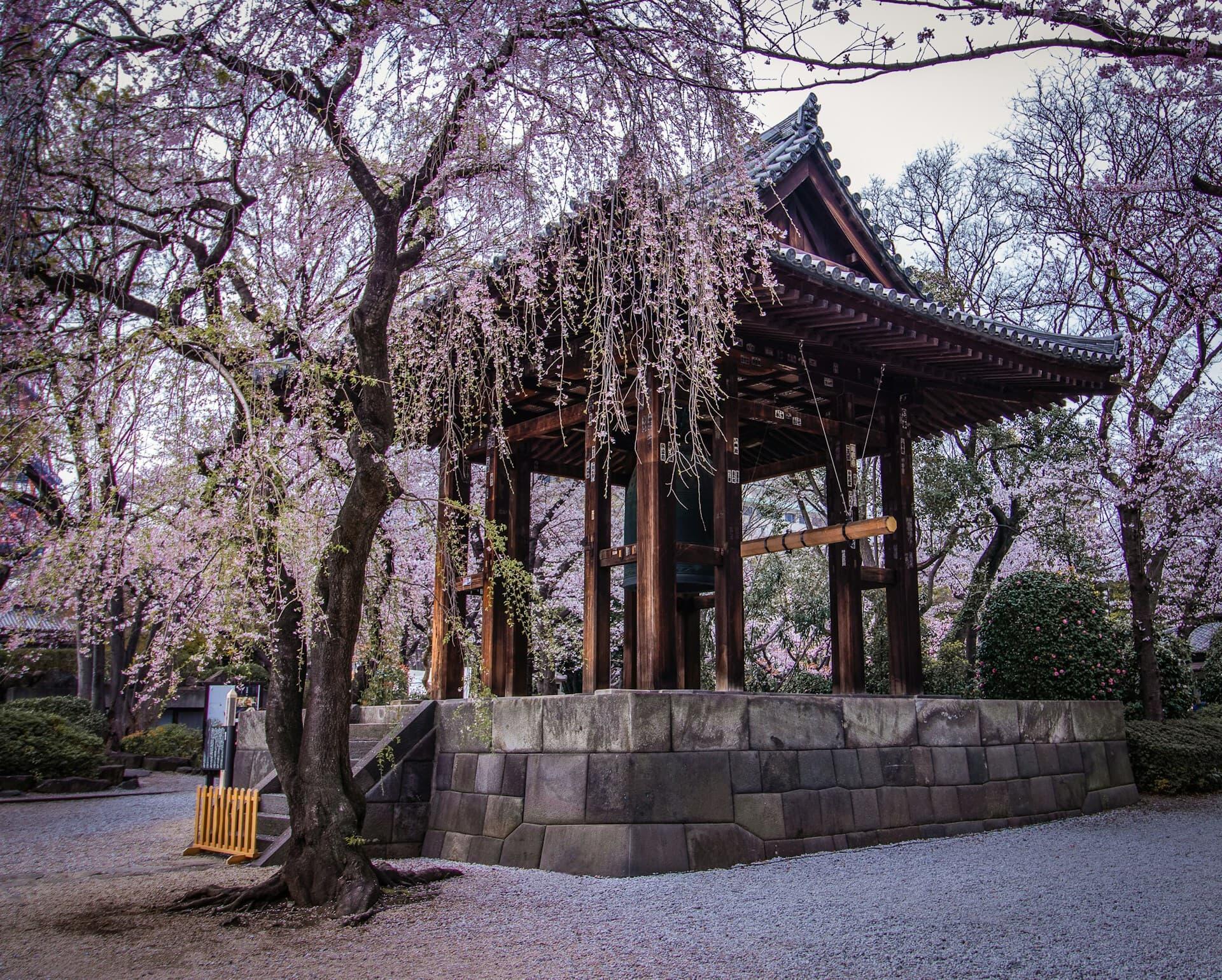 寺院の鐘楼と枝垂れ桜, 日本の歴史的風景