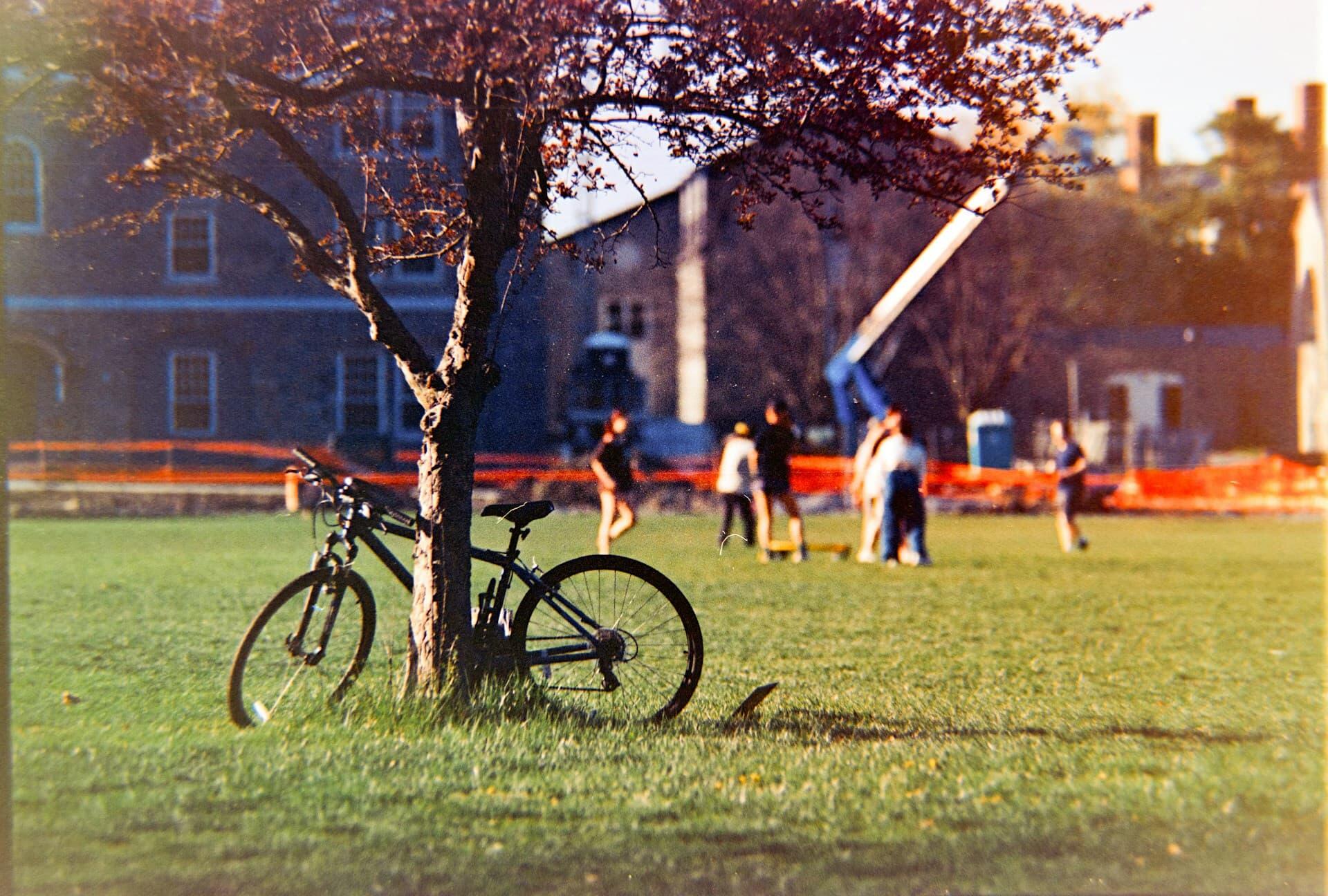 公園, 穏やかな休日の様子