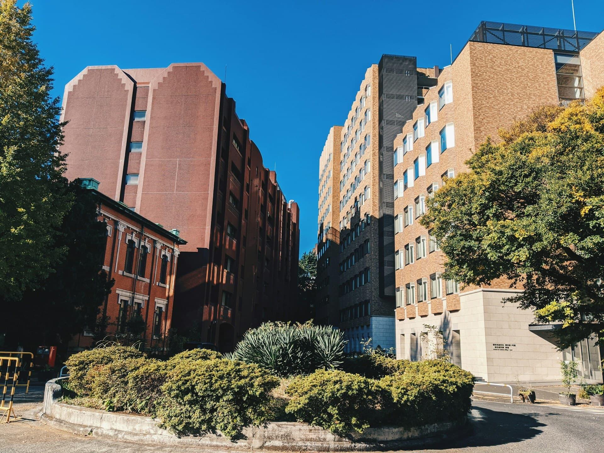 大学キャンパス, 校舎の風景