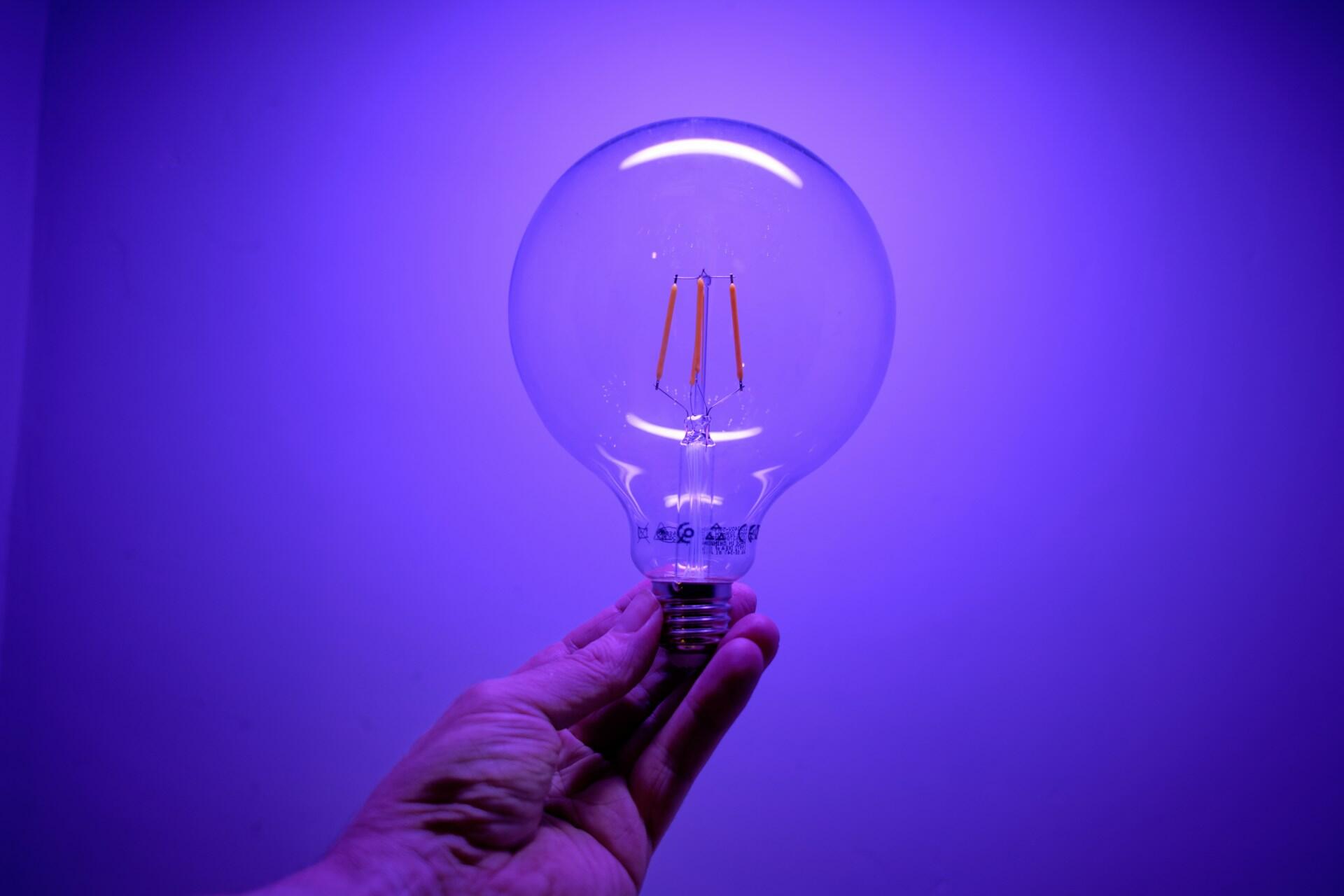 Lemputė violetiniame fone