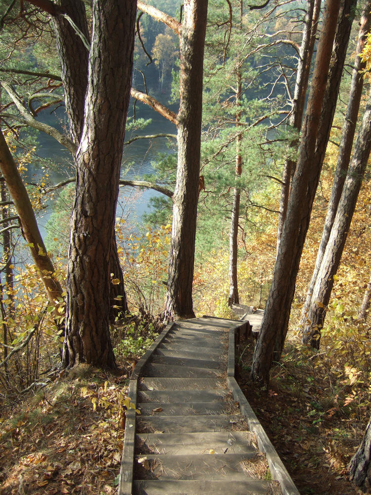 Laipteliai nuo kalno miške, kairėje matosi upė.