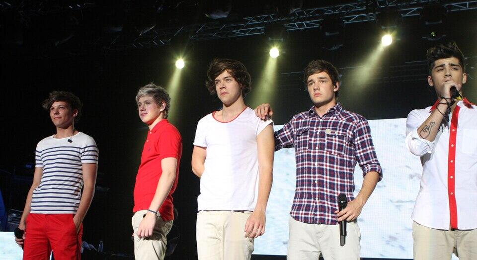 One direction ant scenos