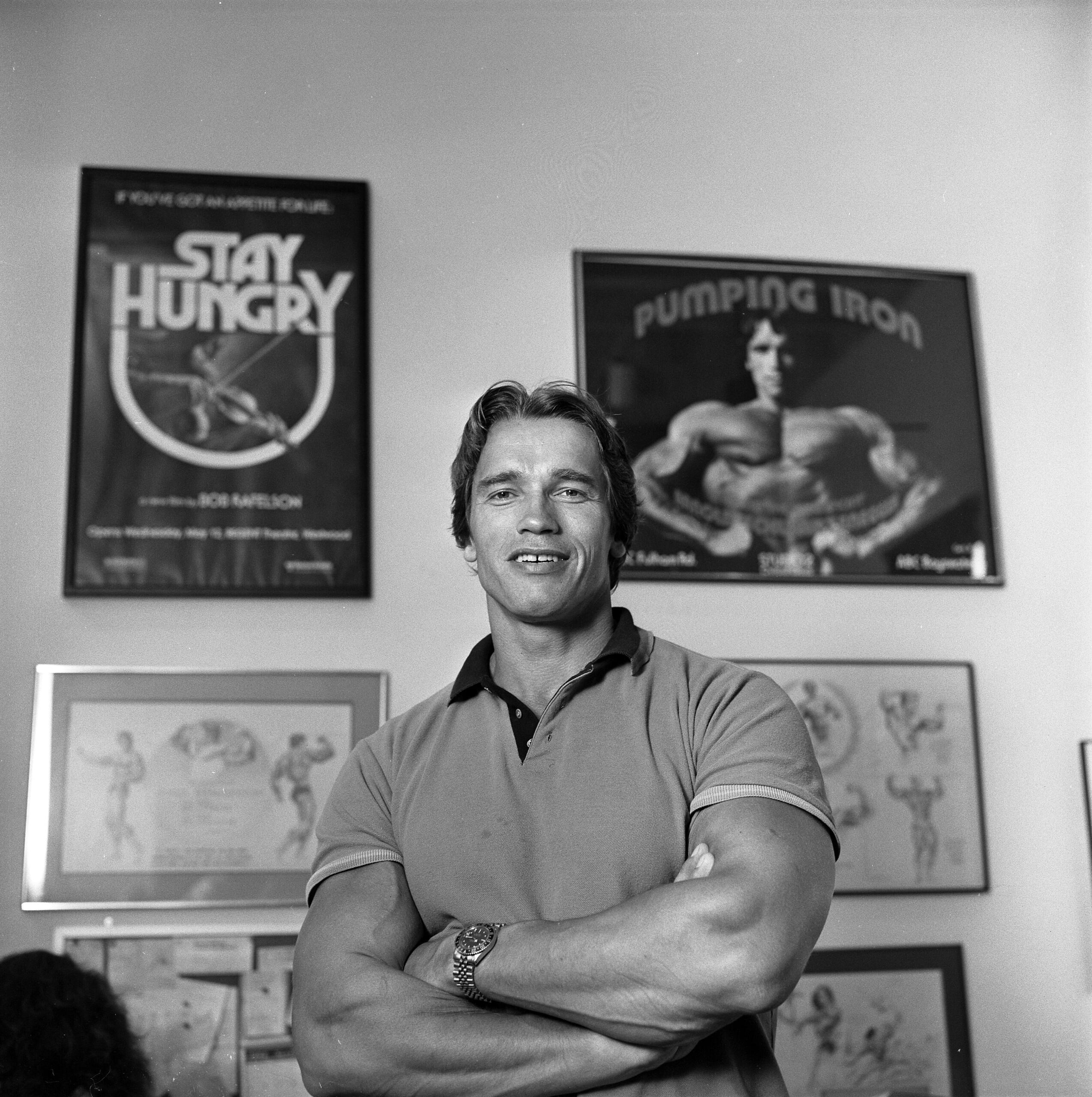 Arnold Schwarzenegger stovi sukryžiavęs rankas