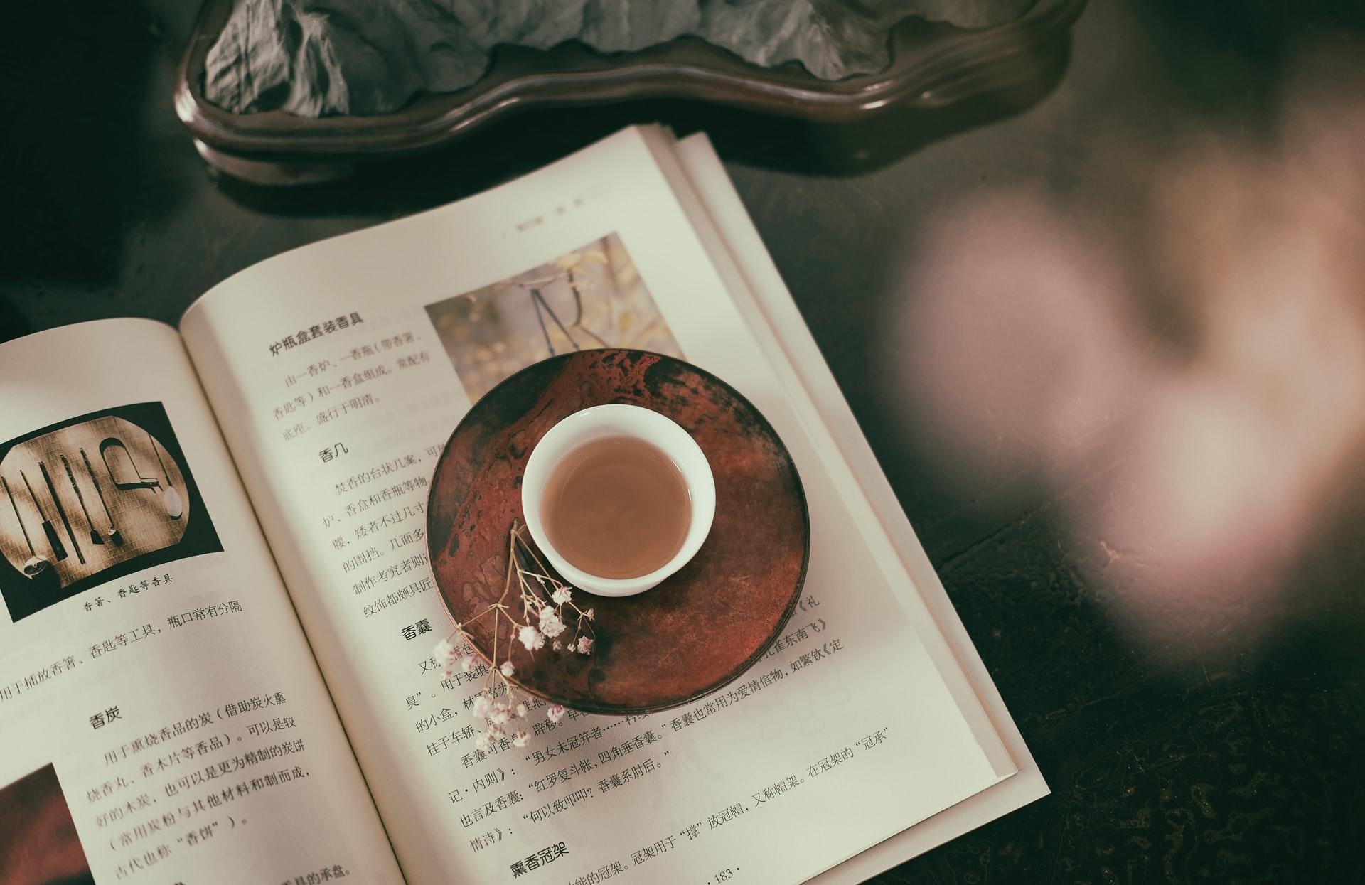 livre leçons de chinois à domicile