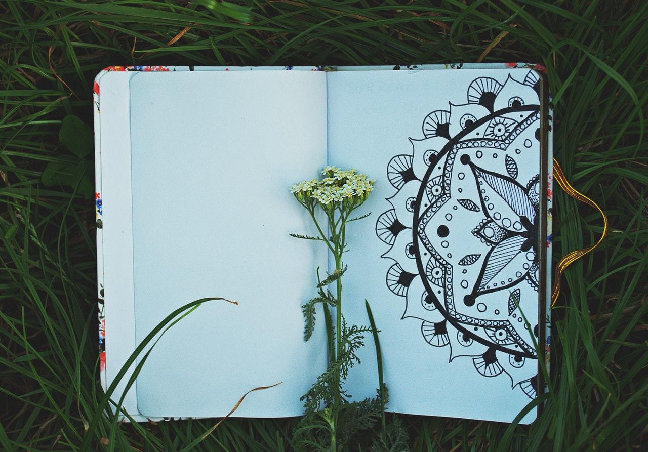 carnet dans l'herbe avec une fleur au milieu
