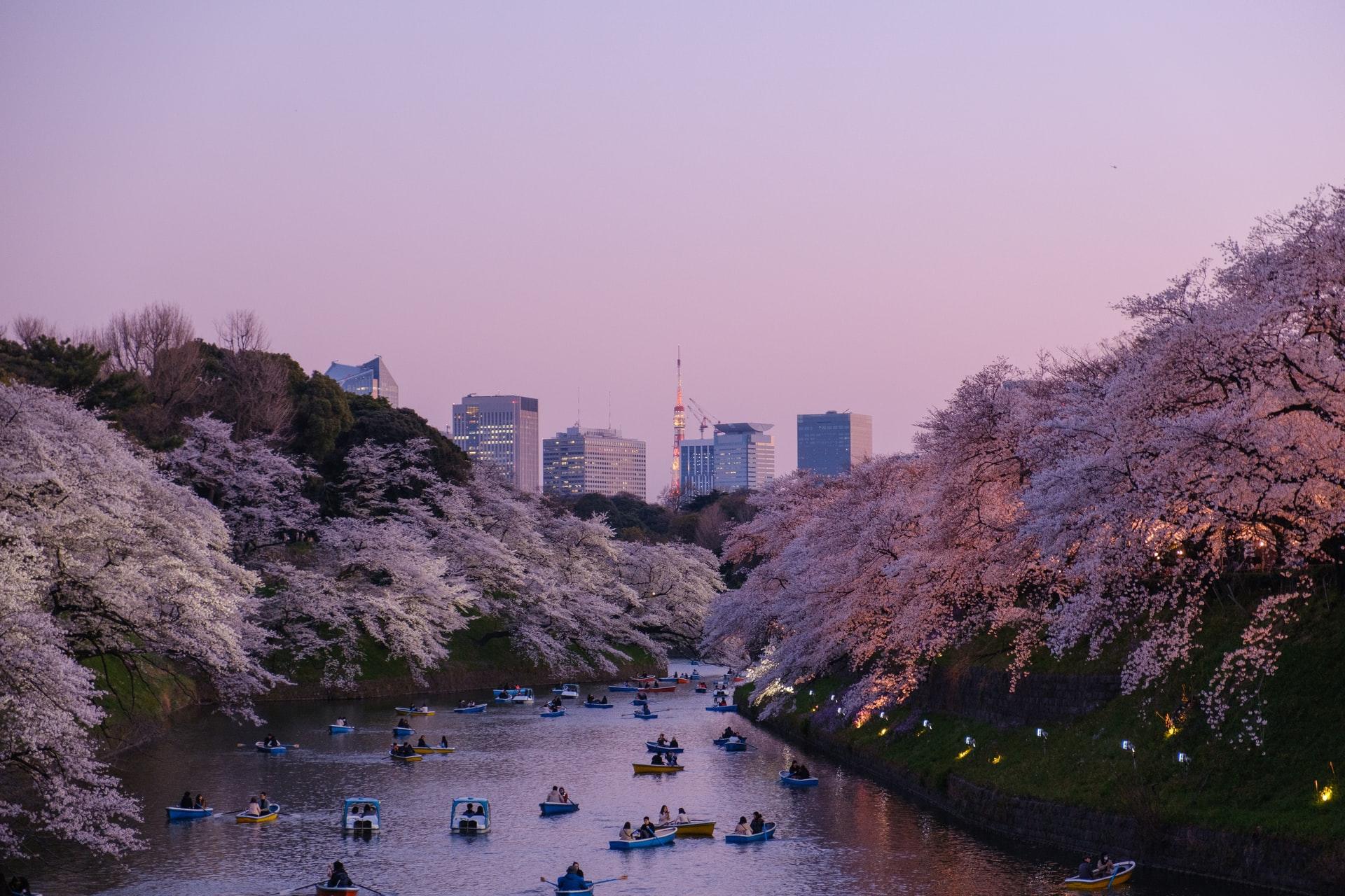 belle image de Tokyo