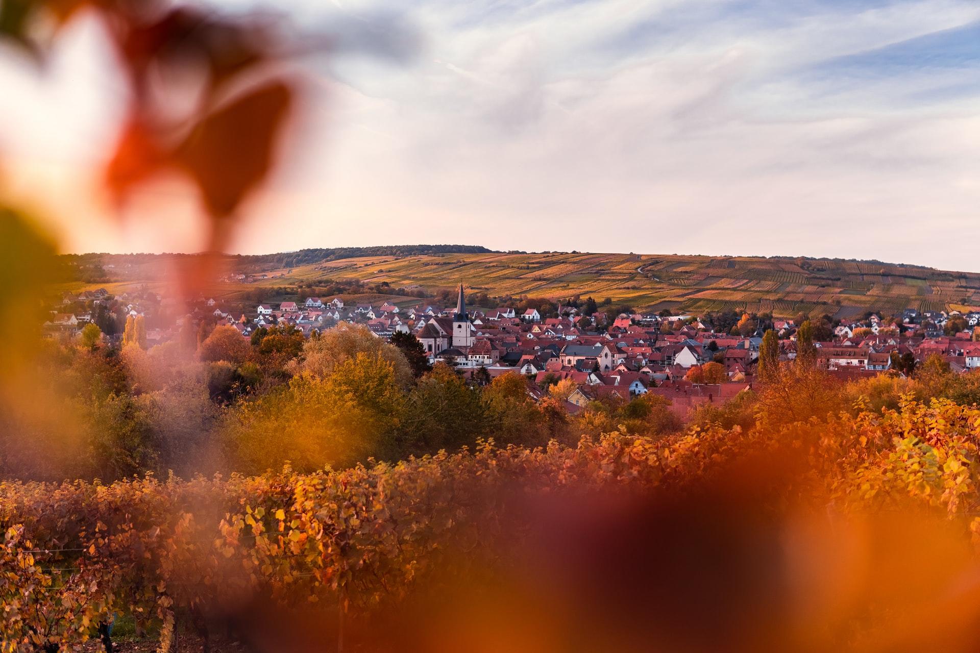 paysage français campagne
