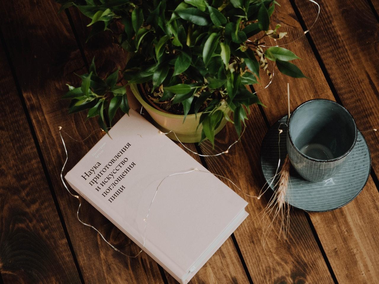 livre avec ecrit en russe sur une table avec une plante verte et une tasse de the a cote