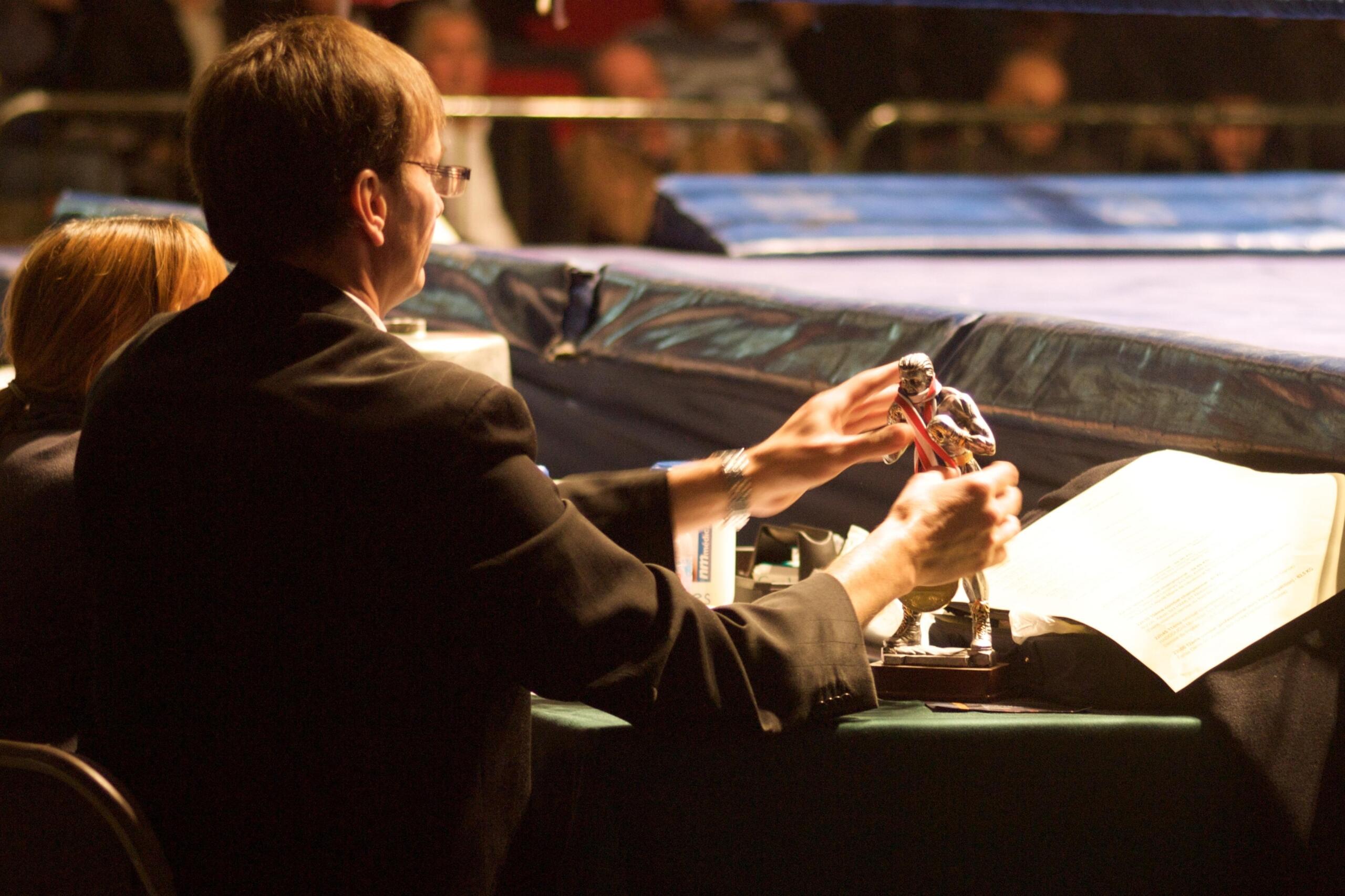 Les compétiteurs de votre boxing club apprécieront aussi sans doute le kickboxing, le full contact, le karaté, le self défense, le kung fu et le viet vo dao.