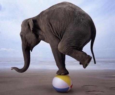 Quel est votre niveau initial en anglais ?