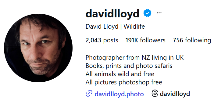 Deivida Loida Instagram profils.