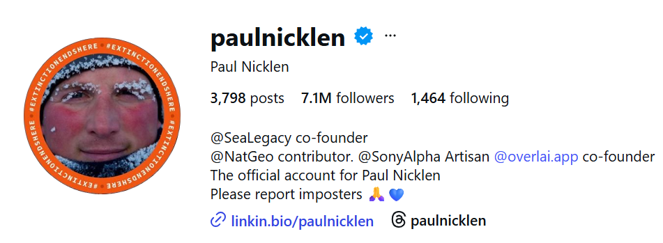 Pola Niklena Instagram profils. 