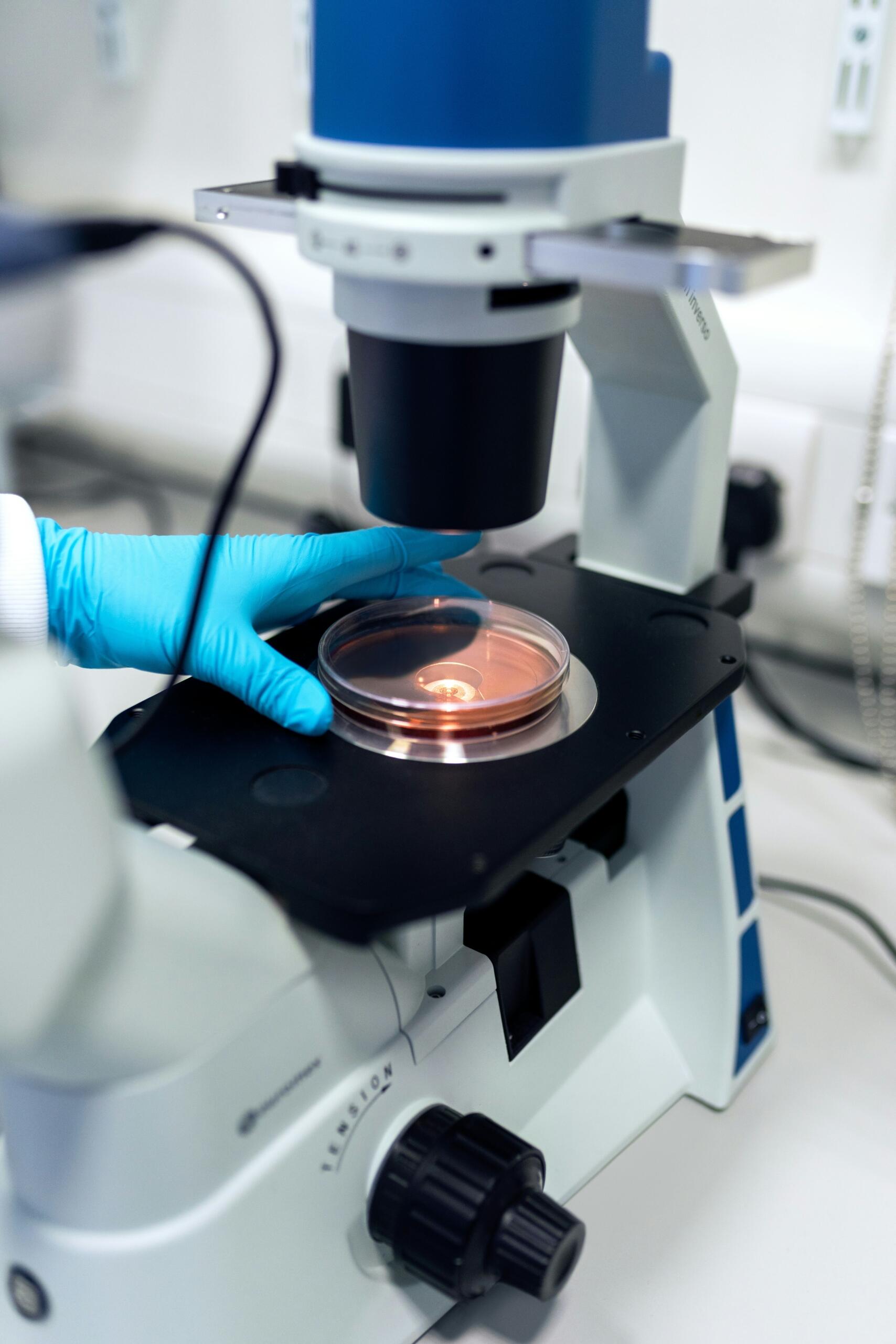 Mikroskops laboratorijā pētniecības darba laikā.