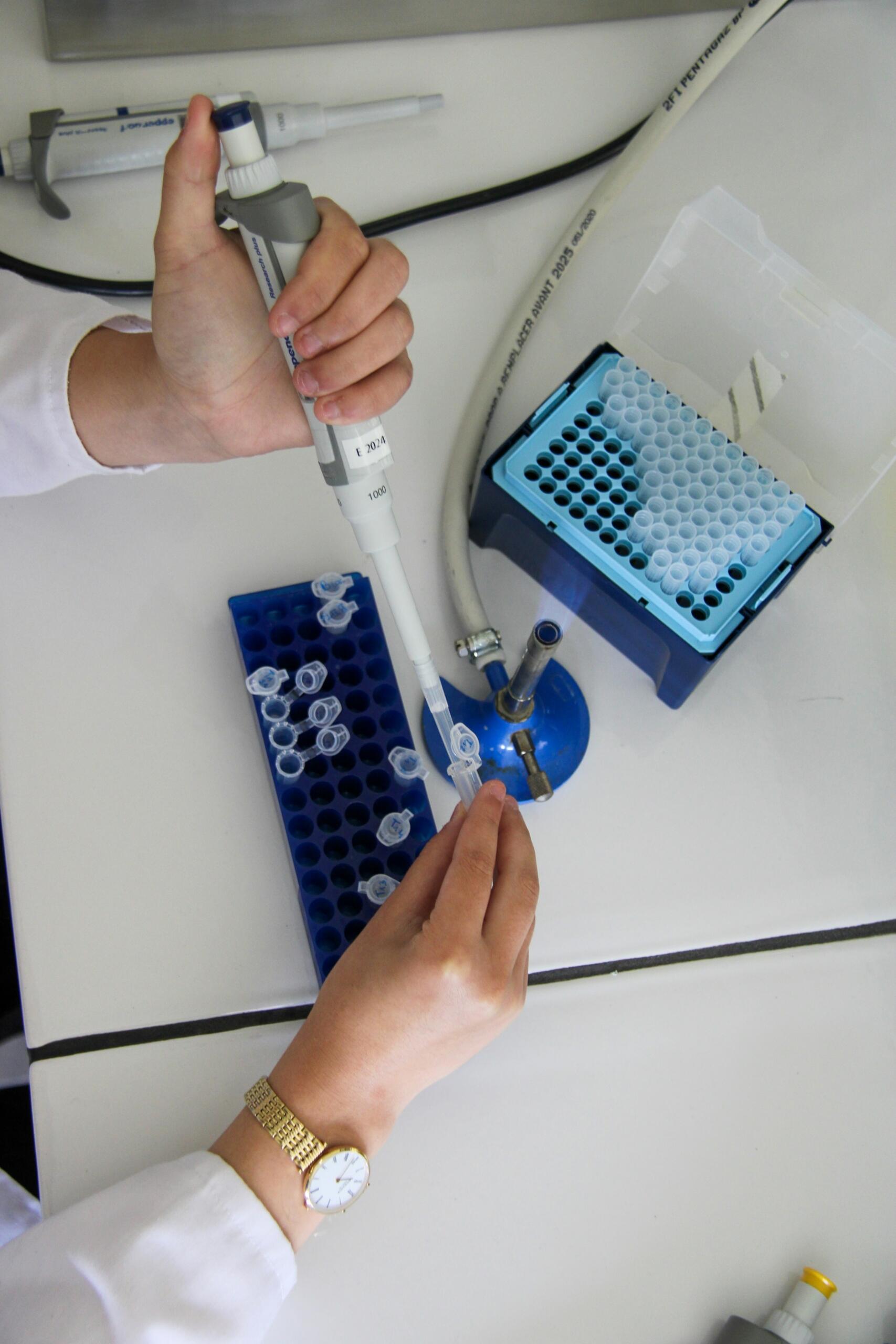 Laboratorijas darbinieks precīzi dozē šķidrumu stobriņā.