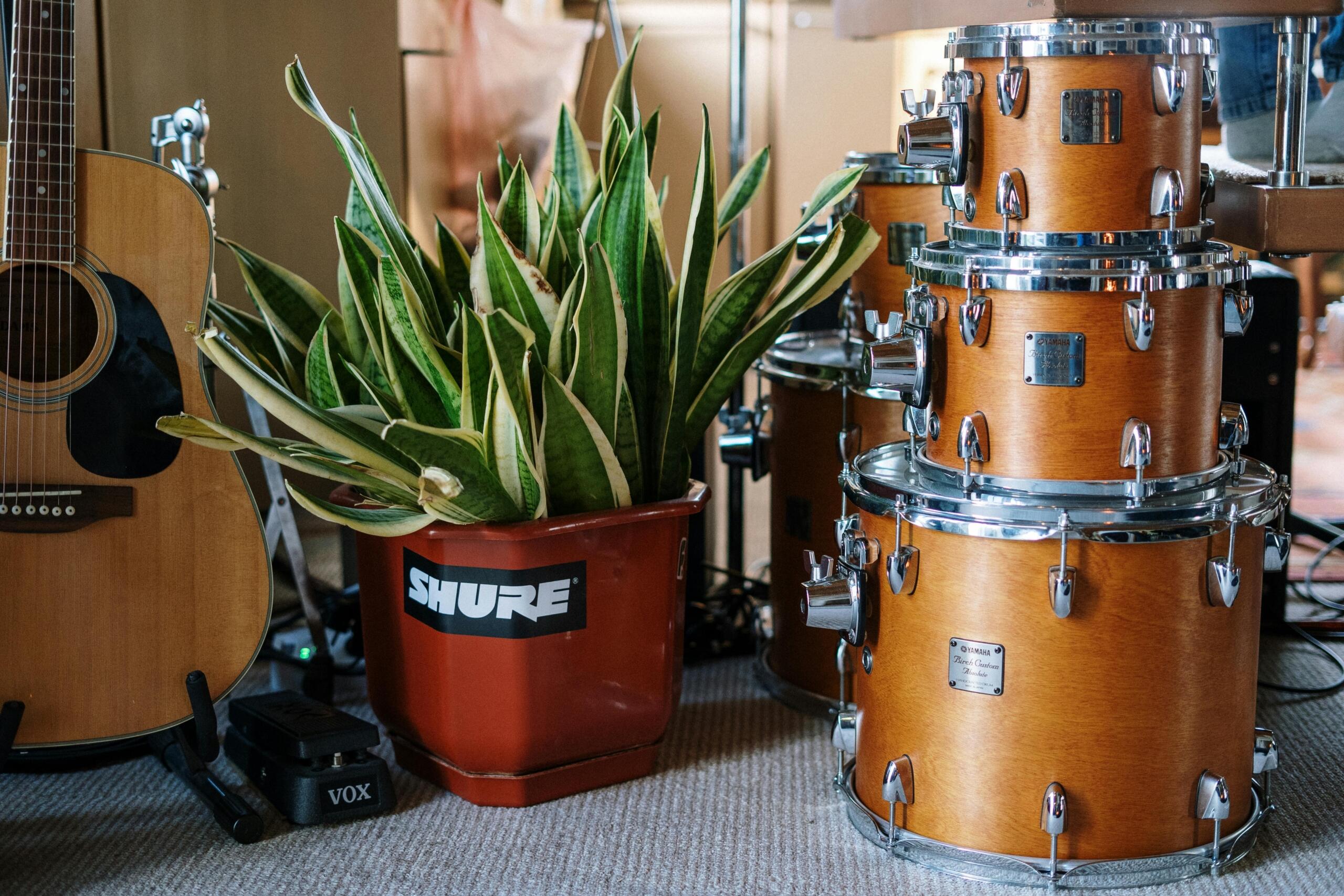 An acoustic guitar stands on a stand beside a large wooden drum set; a green snake plant in a red pot sits between them.