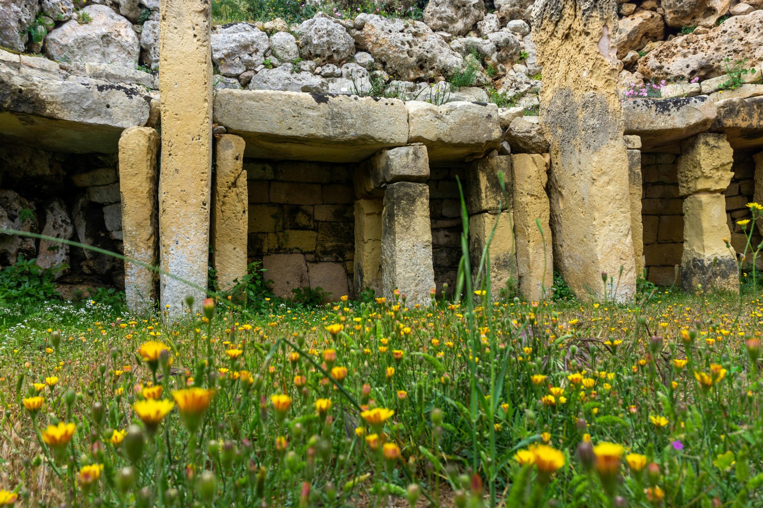 Large upright limestone blocks form roofless stone chambers set into rocky ground, with wildflowers growing in the foreground.