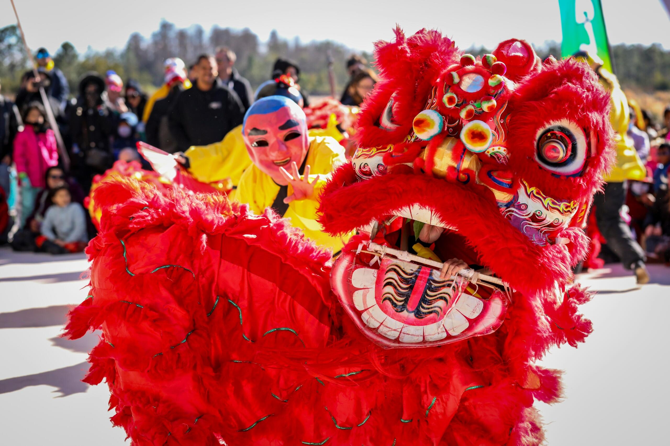 Red lion dance costume during Chinese New Year celebrations
