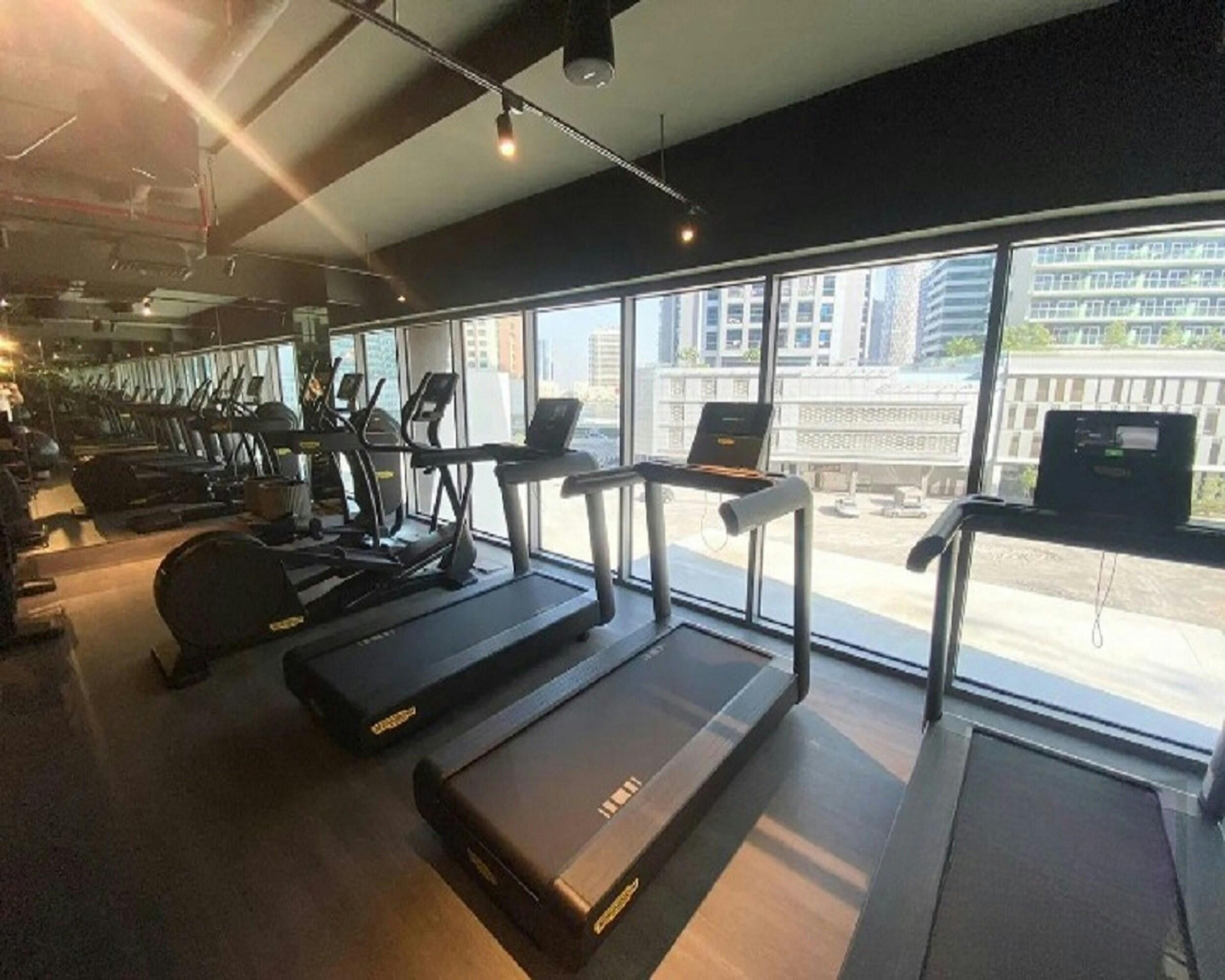 A row of treadmills lines one side of a modern gym.