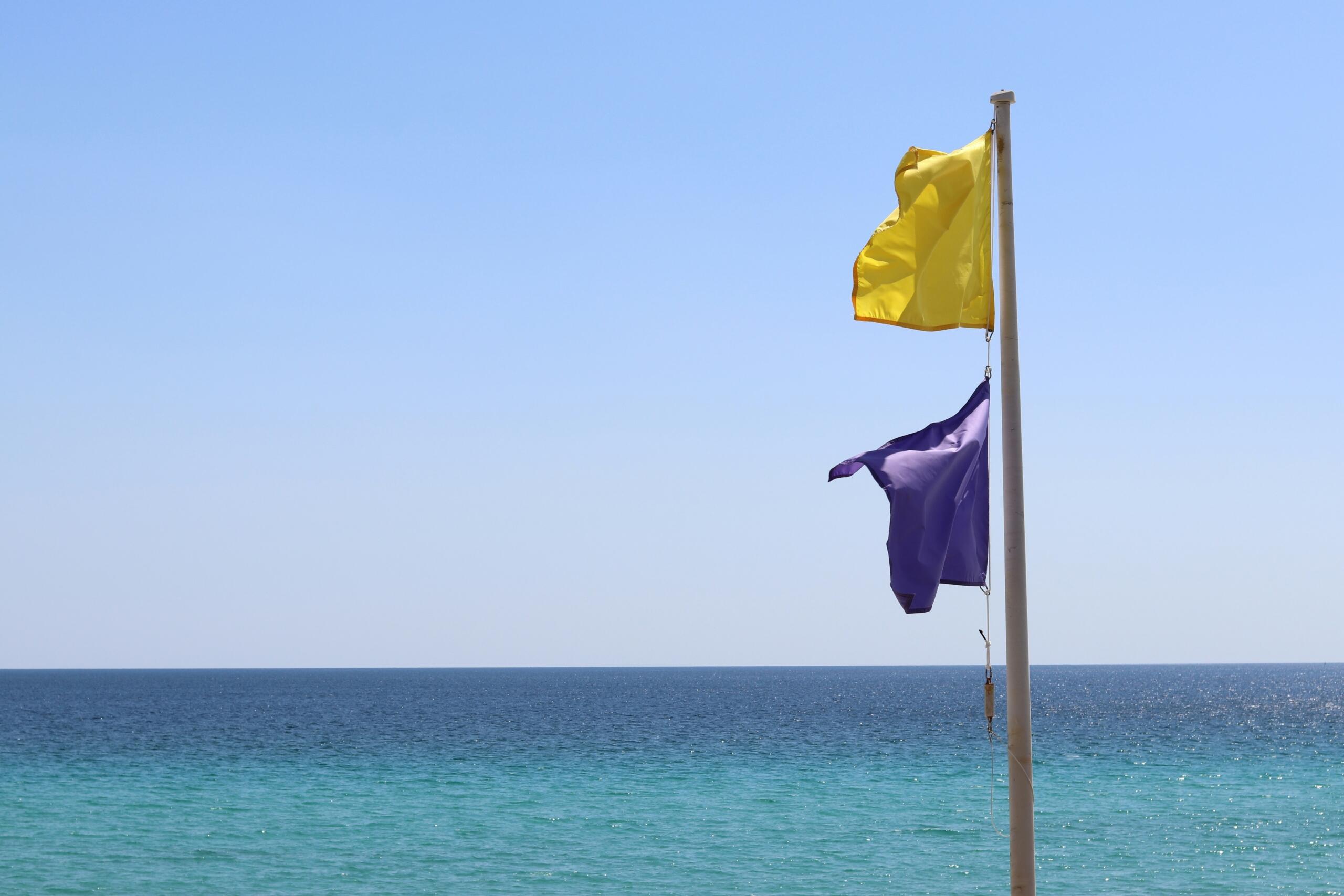 yellow and purple beach safety flags on a pole by the sea