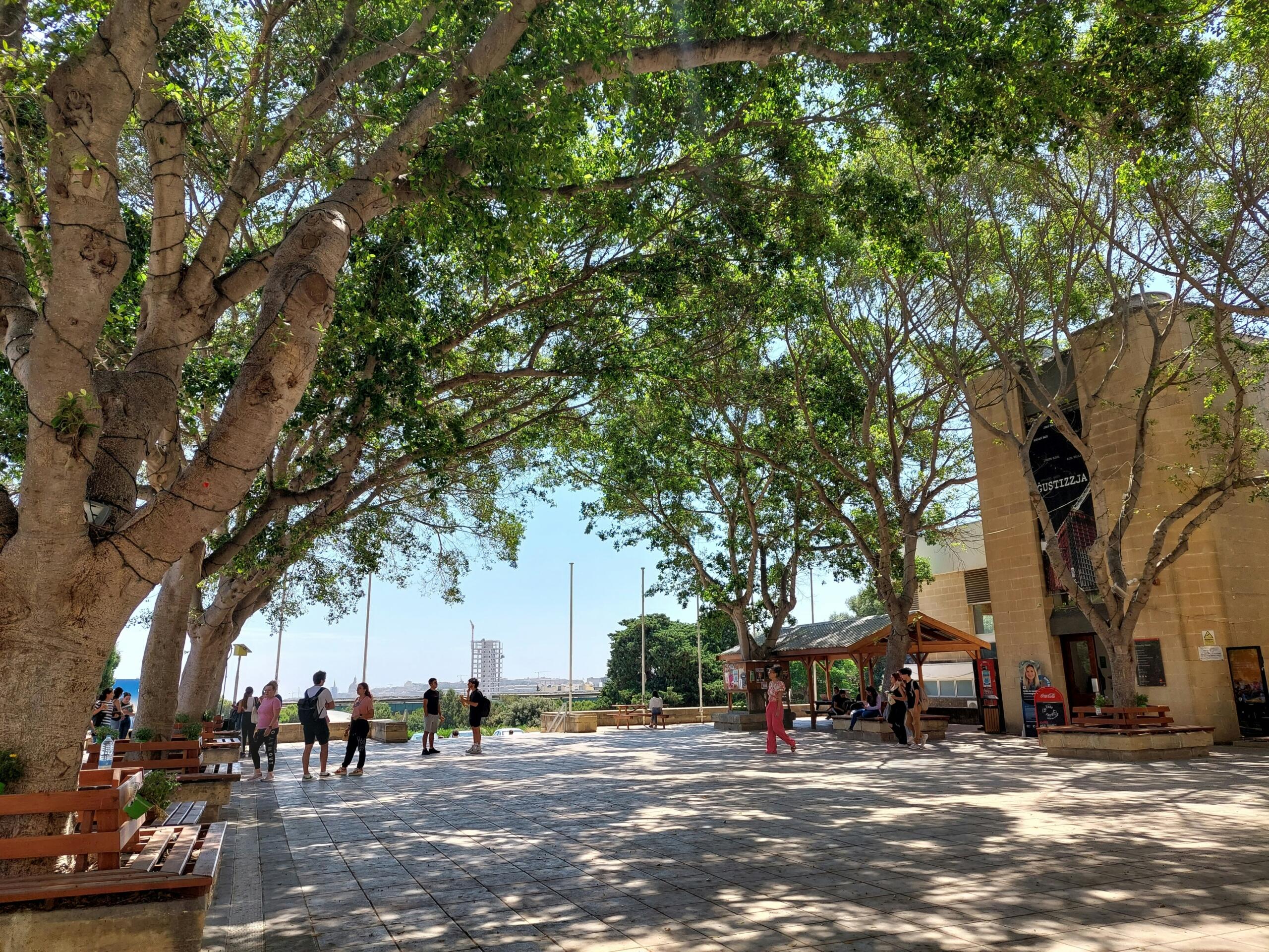 Students on the outdoor campus of the University of Malta in Msida