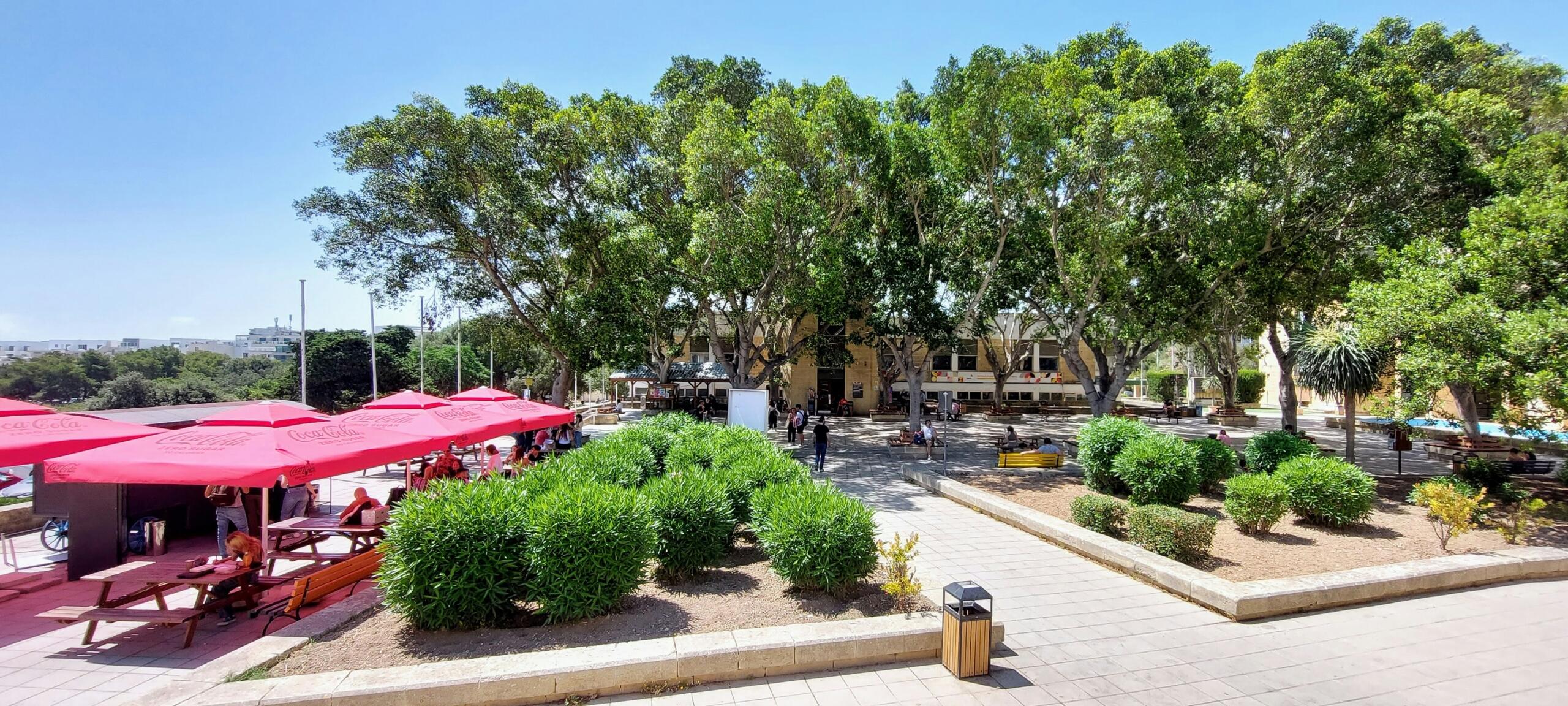 Outdoor seating area with umbrellas and trees on the University of Malta campus in Msida
